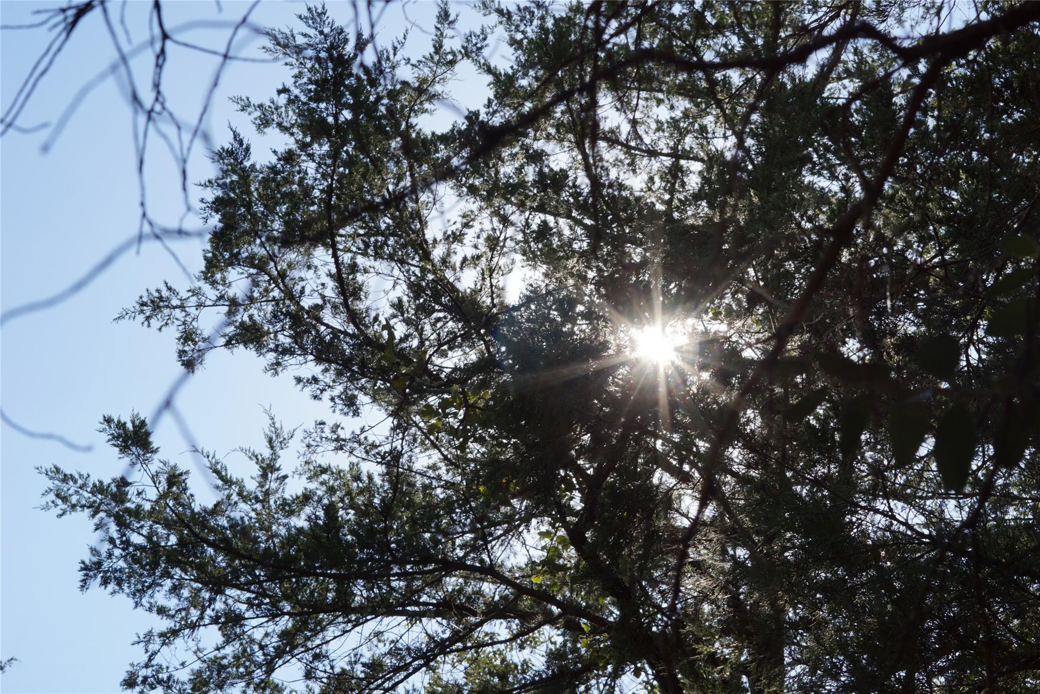 1135 Private Road 7039, Lexington, TX 78947