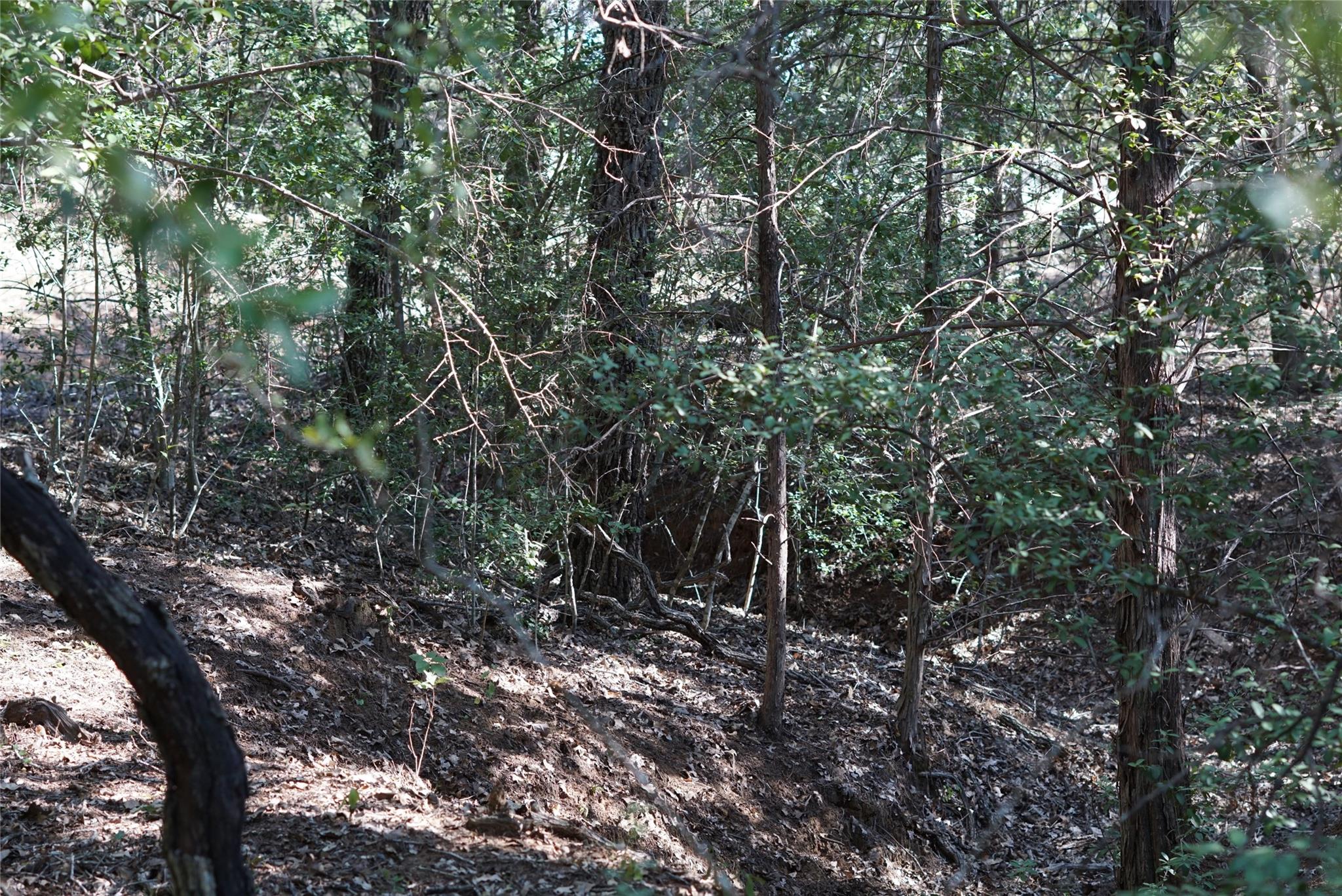 1135 Private Road 7039, Lexington, TX 78947