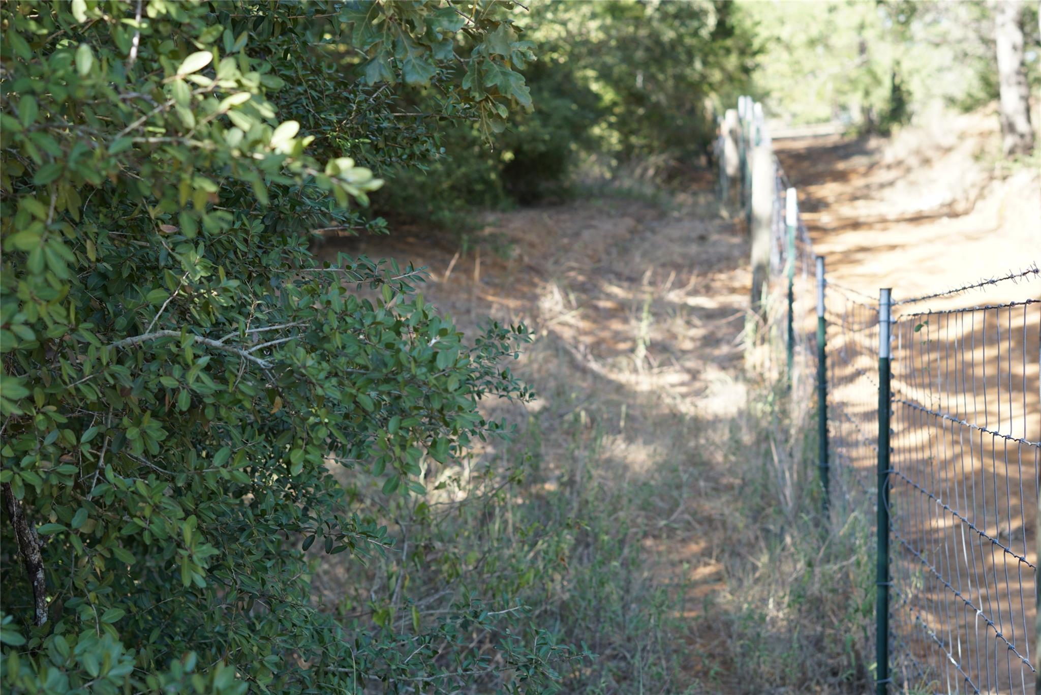 1135 Private Road 7039, Lexington, TX 78947