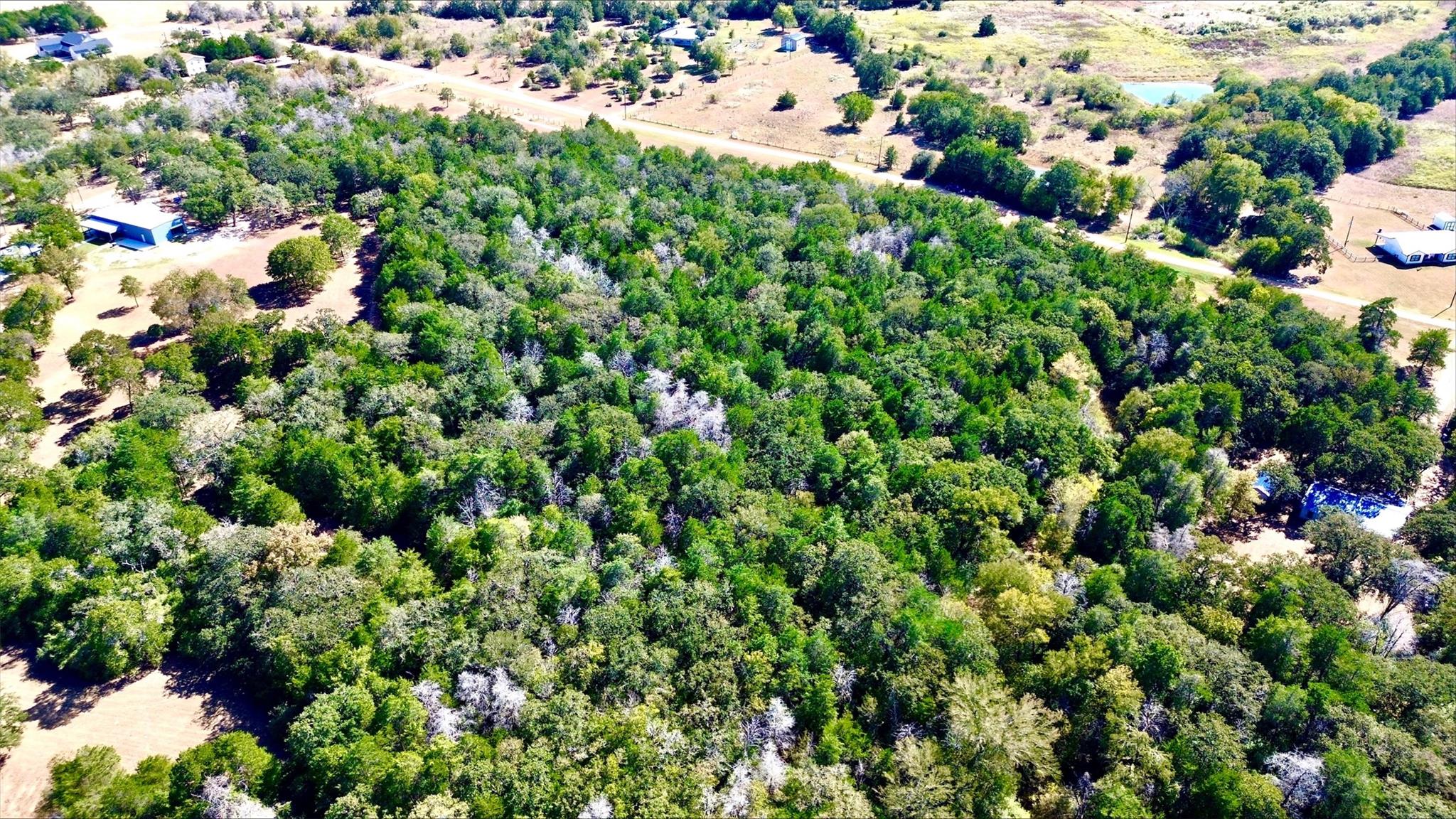 1135 Private Road 7039, Lexington, TX 78947