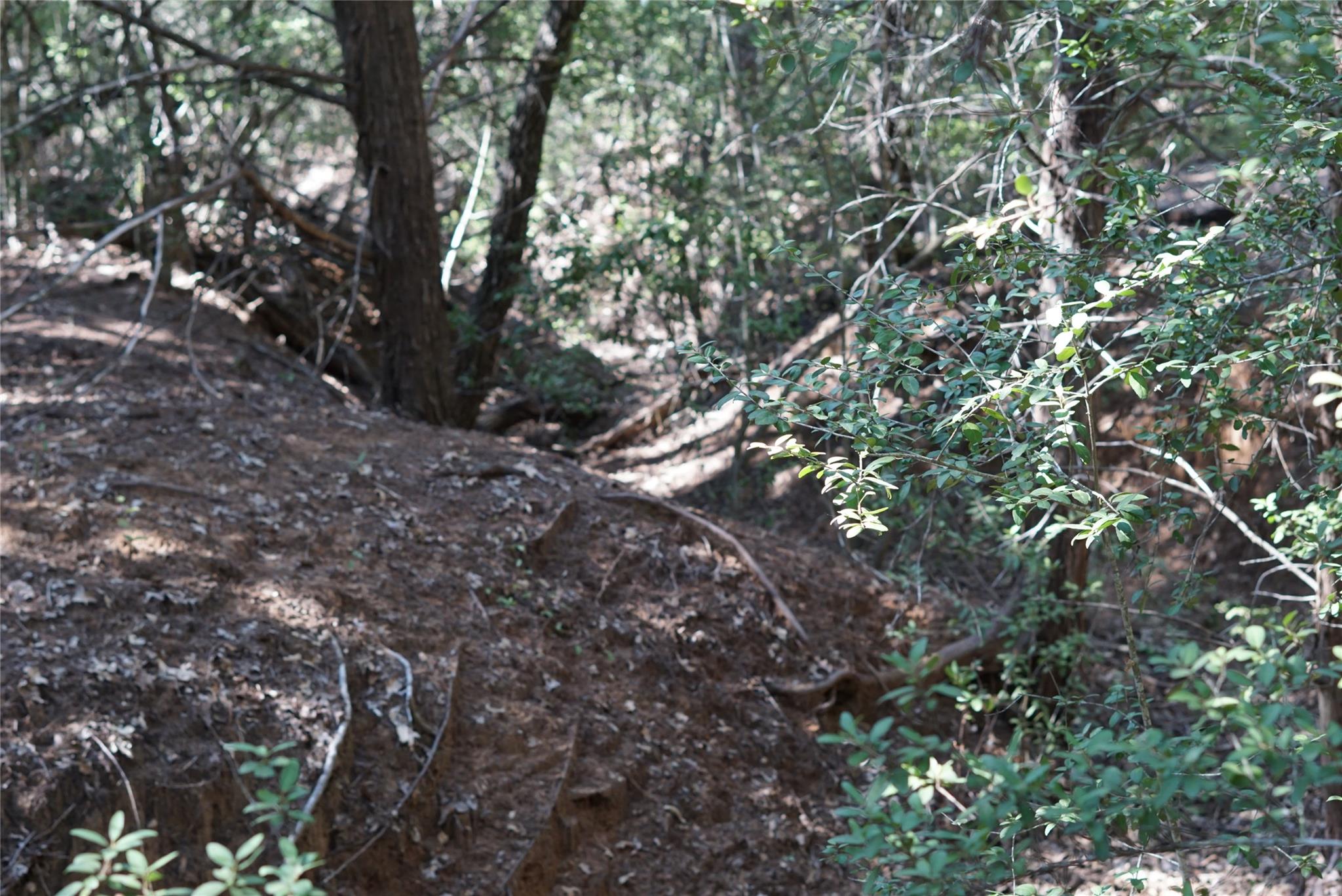 1135 Private Road 7039, Lexington, TX 78947