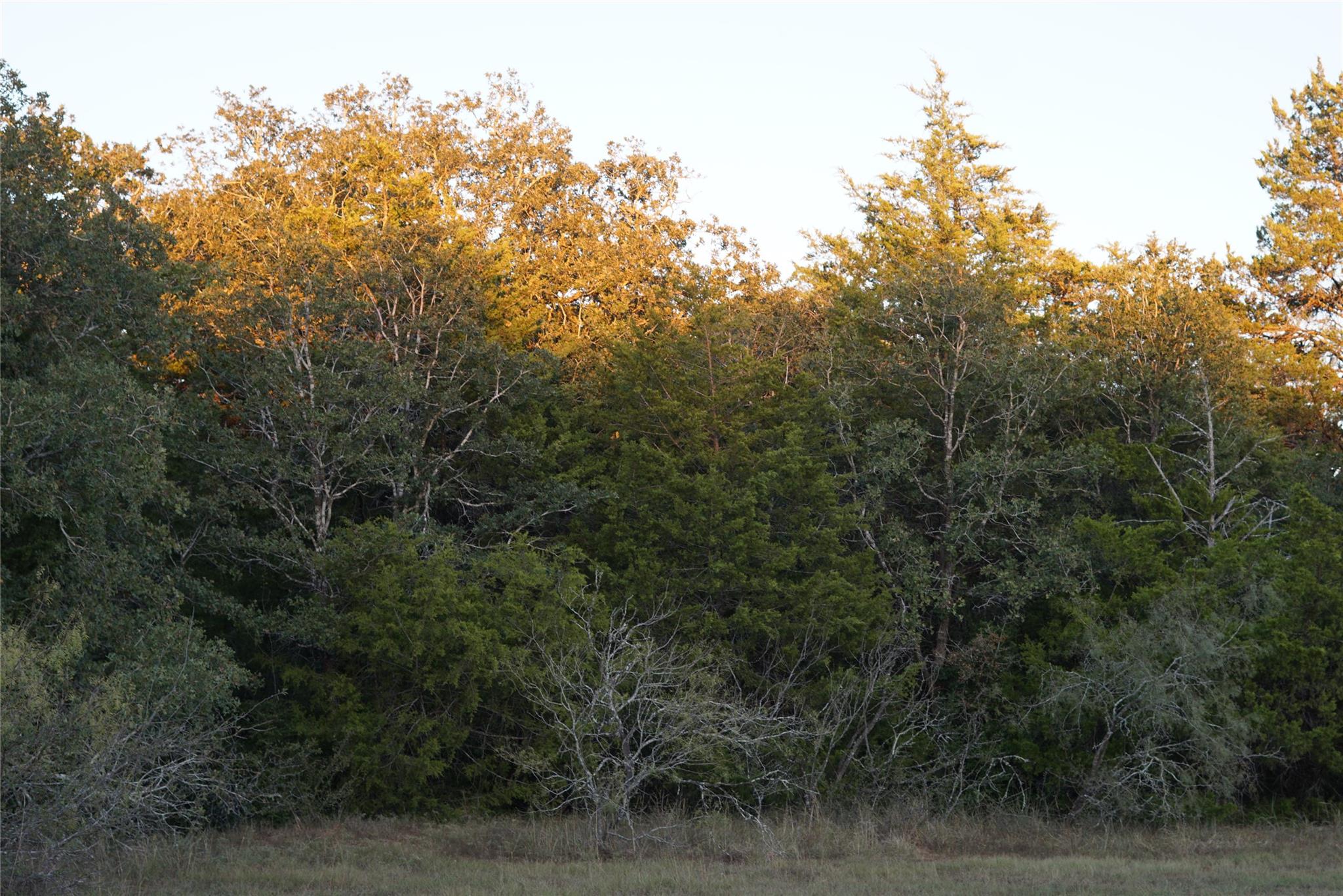 1135 Private Road 7039, Lexington, TX 78947