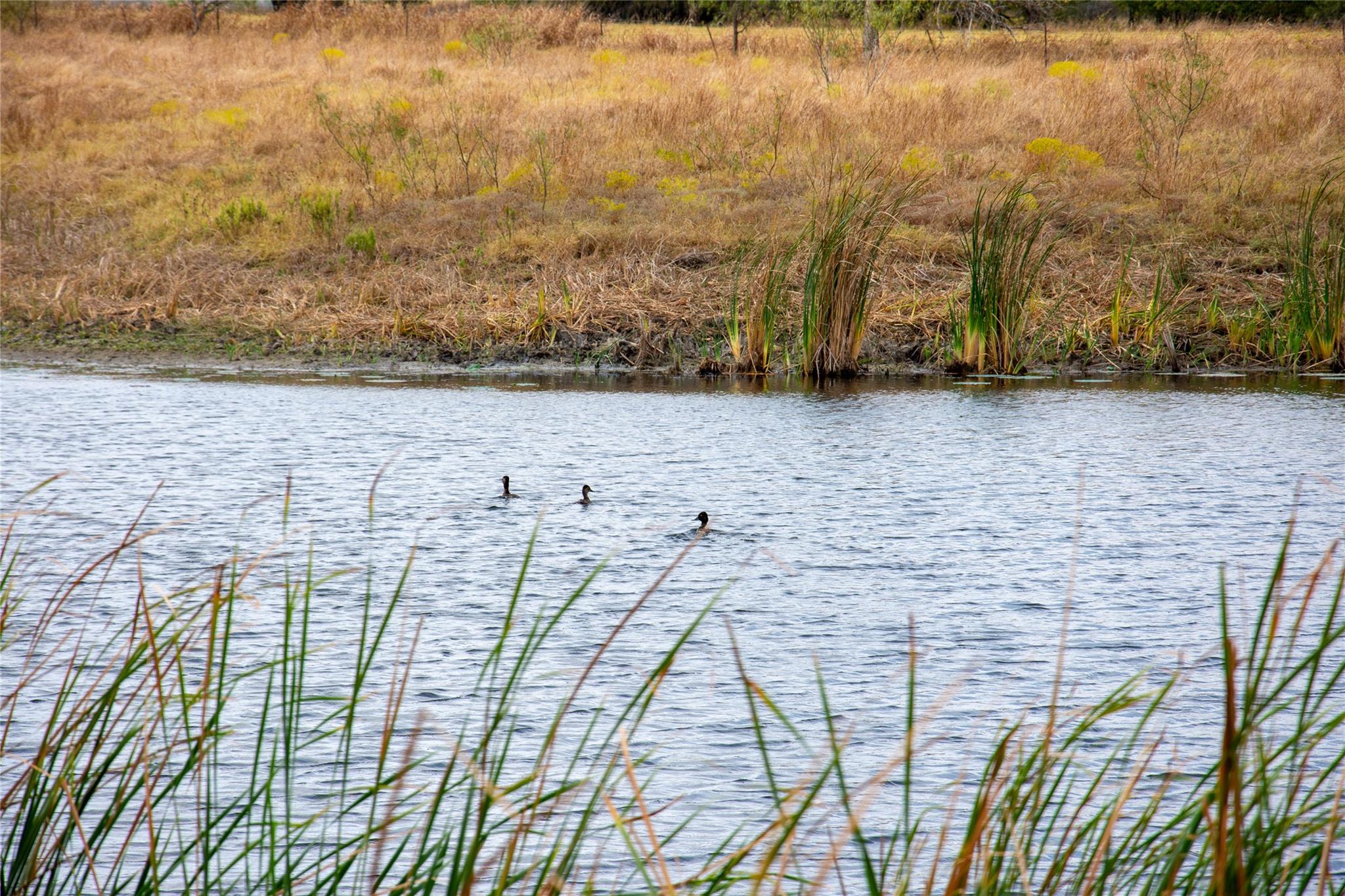 2689 County Road 419 Rd, Taylor, TX 76574