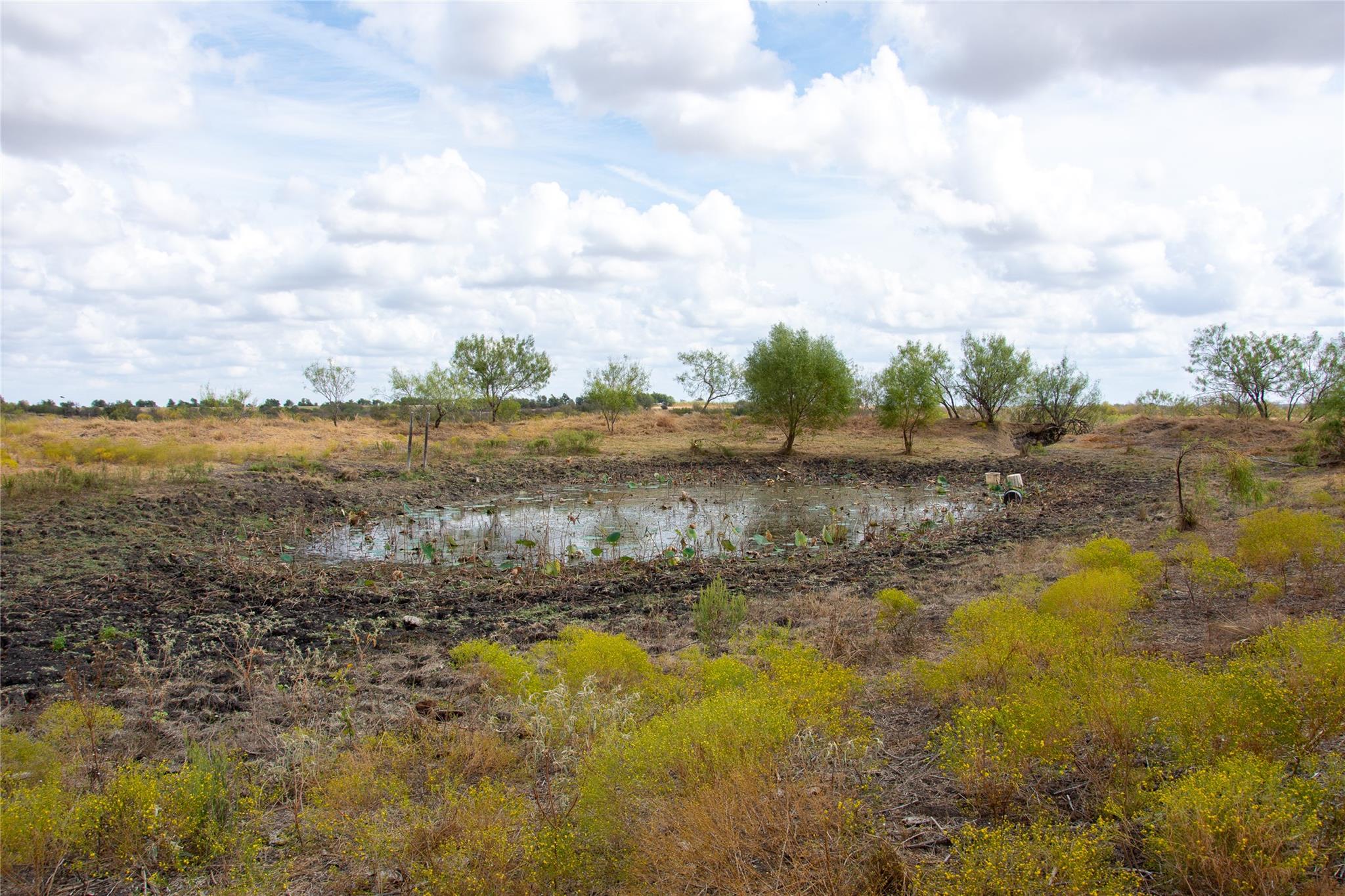 2689 County Road 419 Rd, Taylor, TX 76574