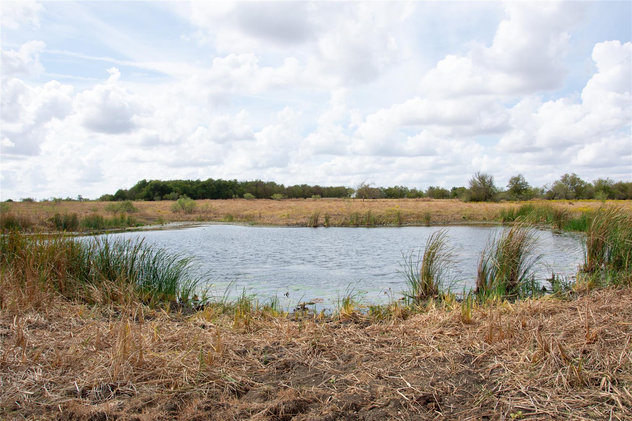 2689 County Road 419 Rd, Taylor, TX 76574