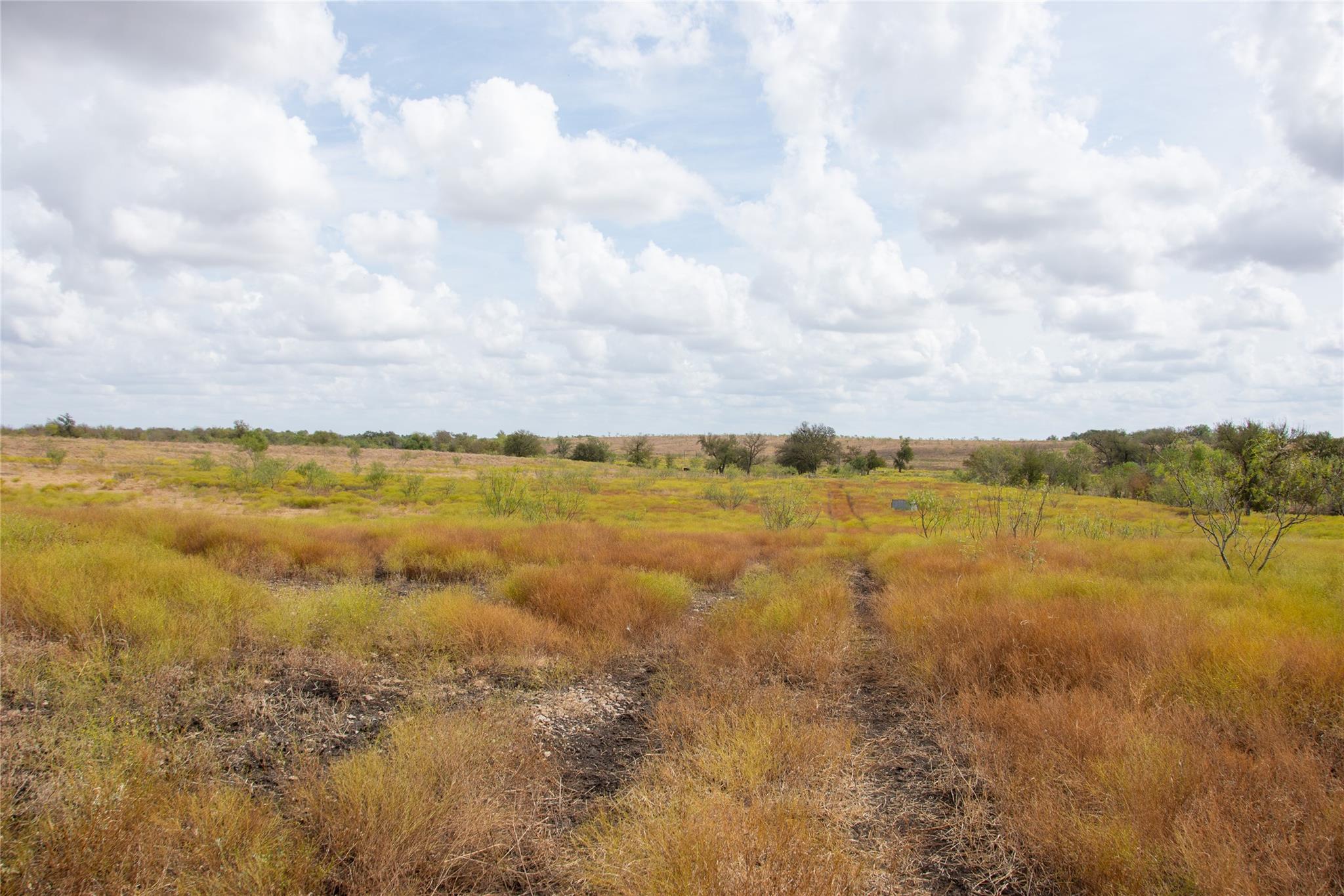 2689 County Road 419 Rd, Taylor, TX 76574