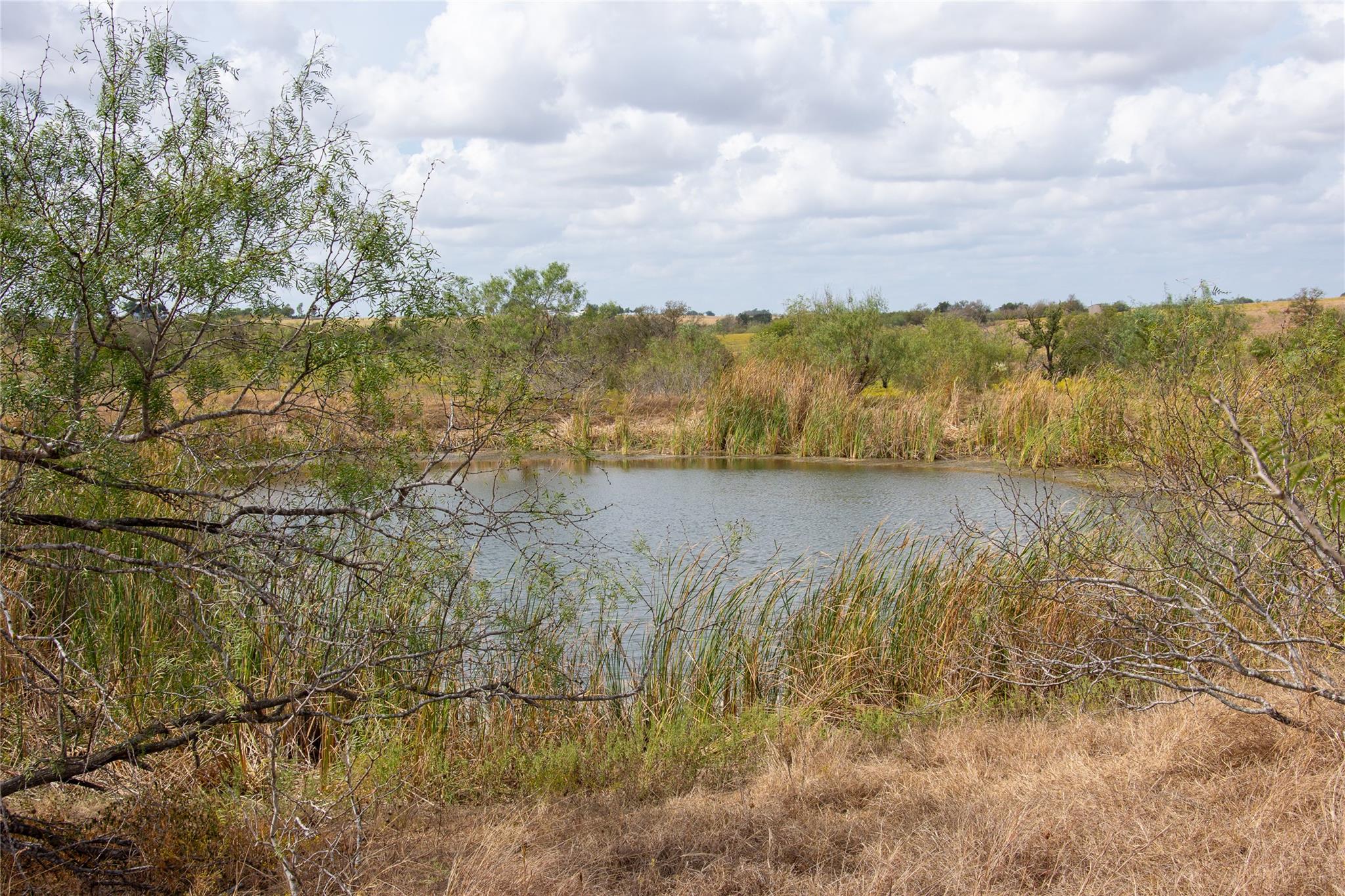 2689 County Road 419 Rd, Taylor, TX 76574