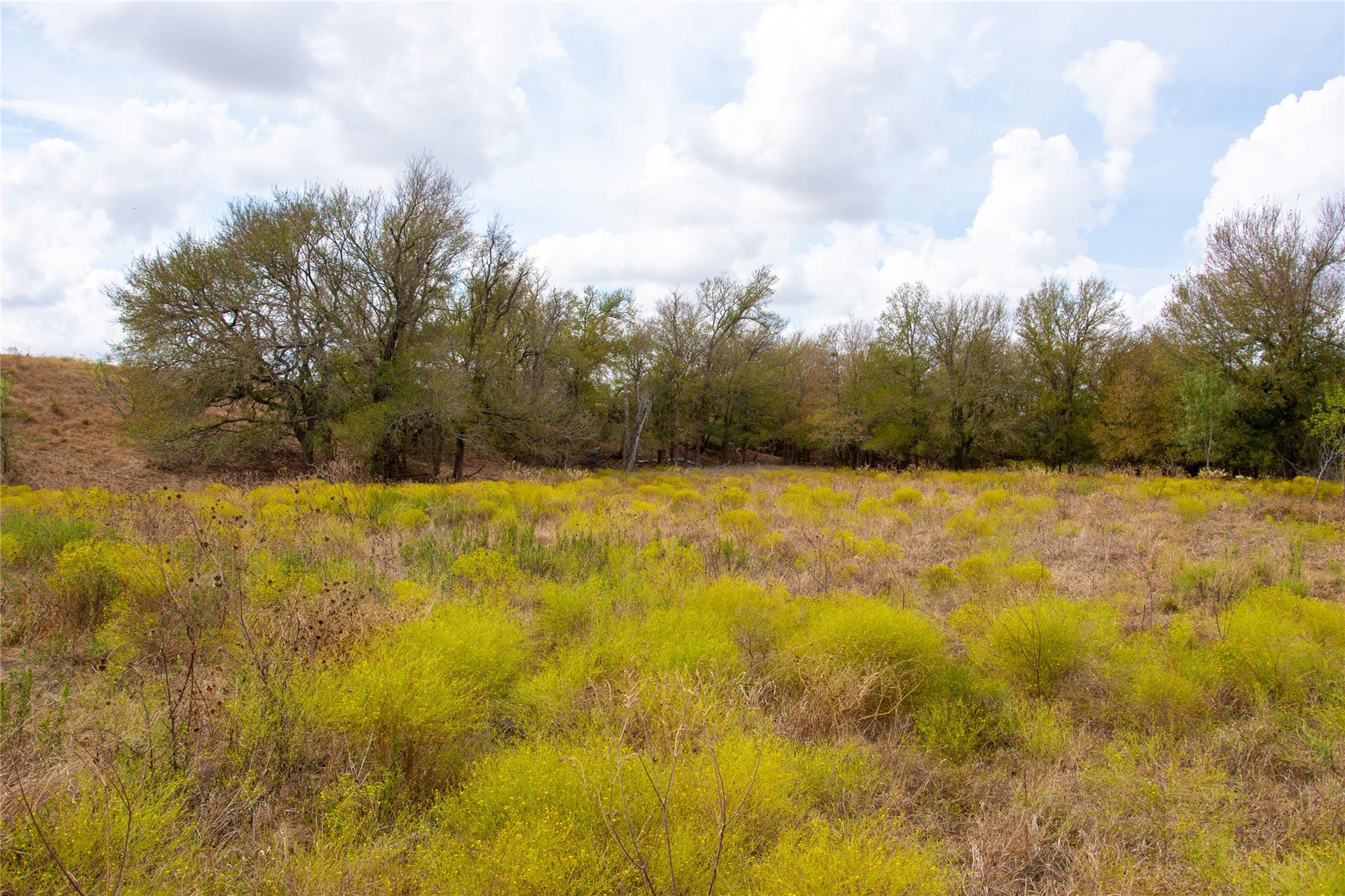 2689 County Road 419 Rd, Taylor, TX 76574