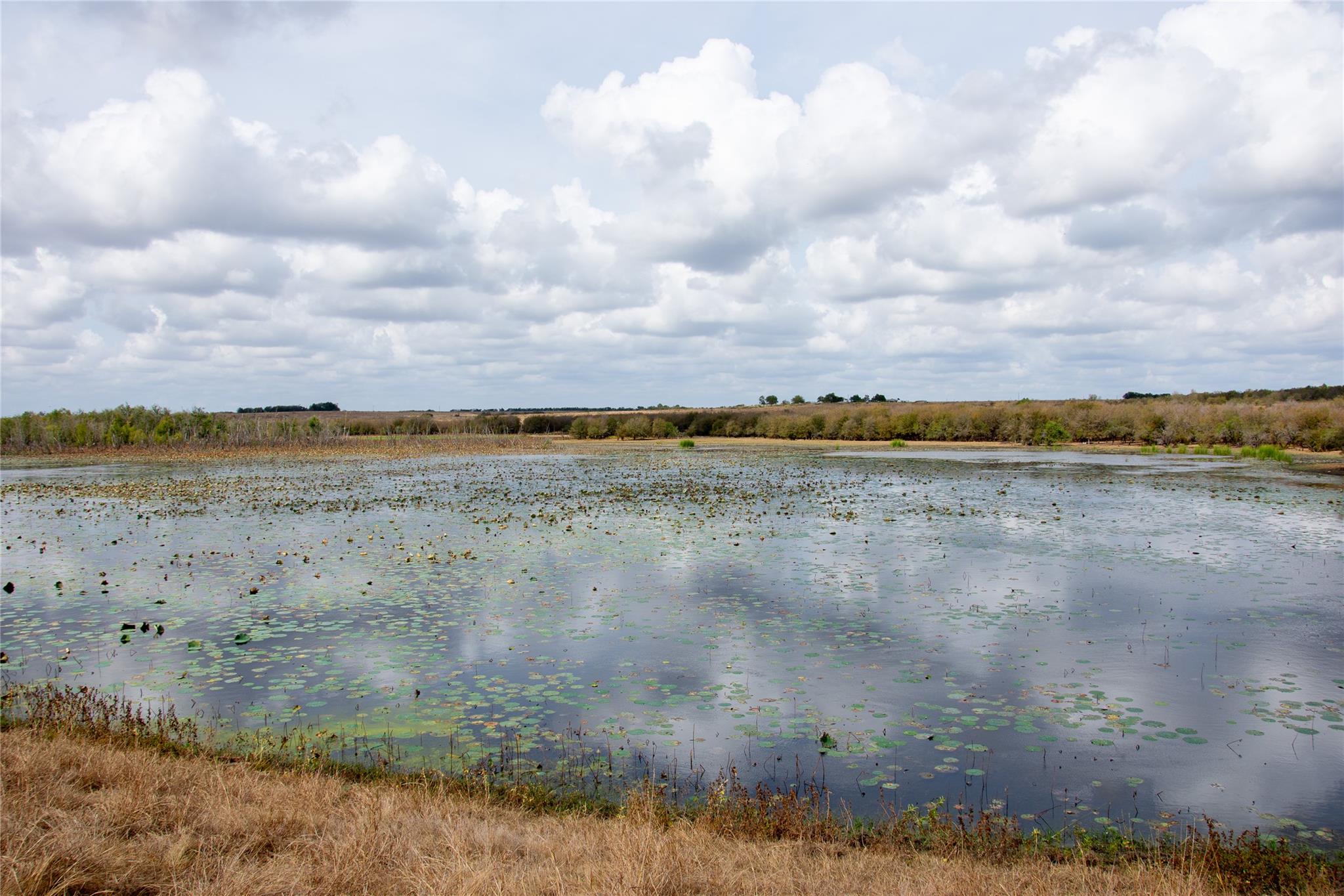 2689 County Road 419 Rd, Taylor, TX 76574