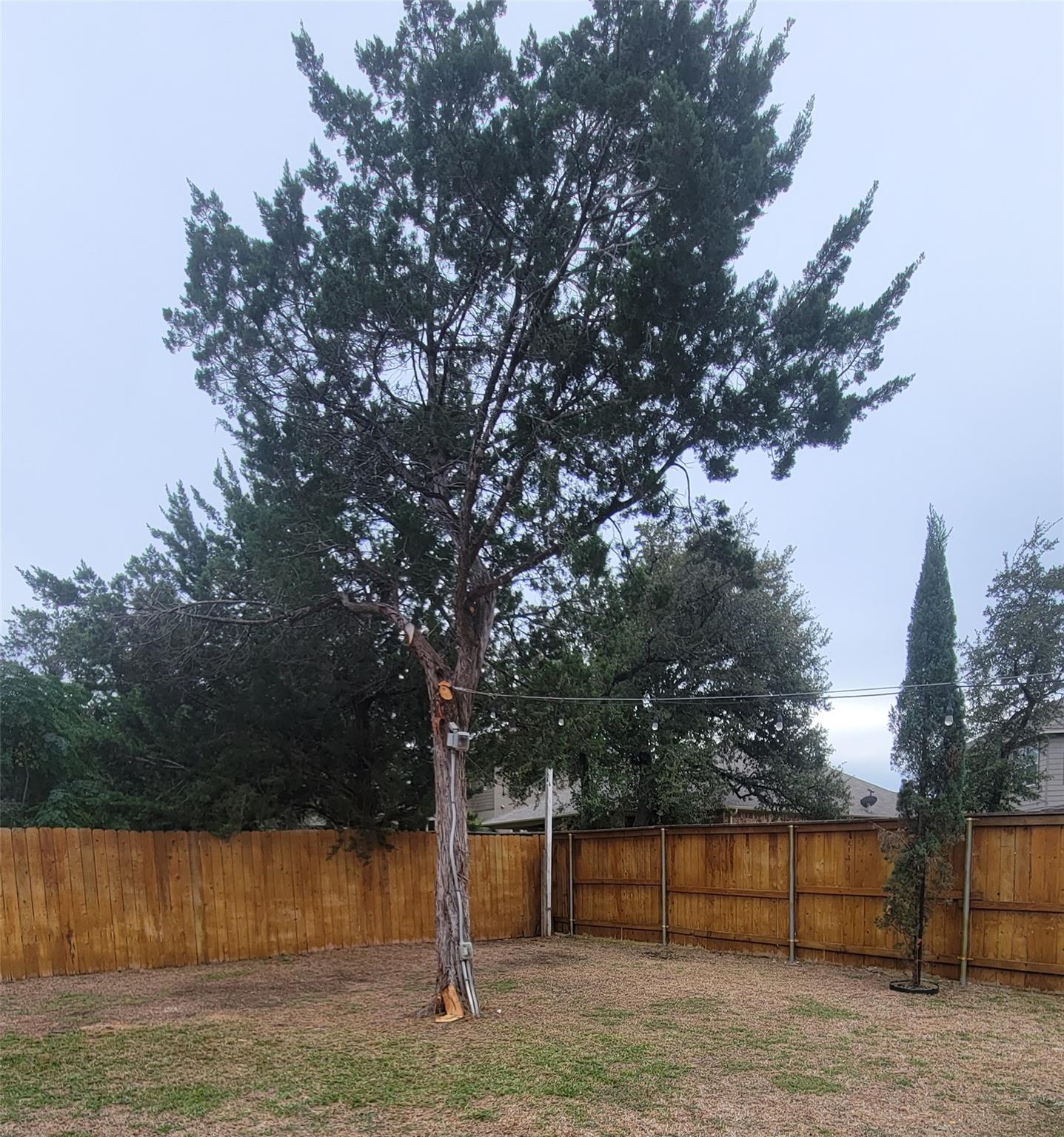 1849 Greening Way, Leander, TX 78641