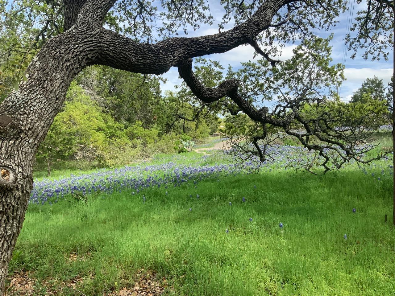 1010 Meadow Ridge Dr, Dripping Springs, TX 78620