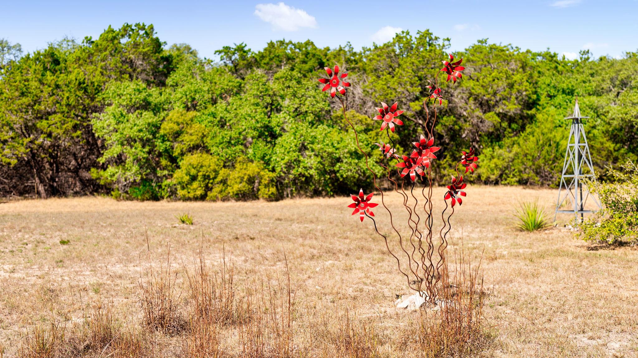 1010 Meadow Ridge Dr, Dripping Springs, TX 78620