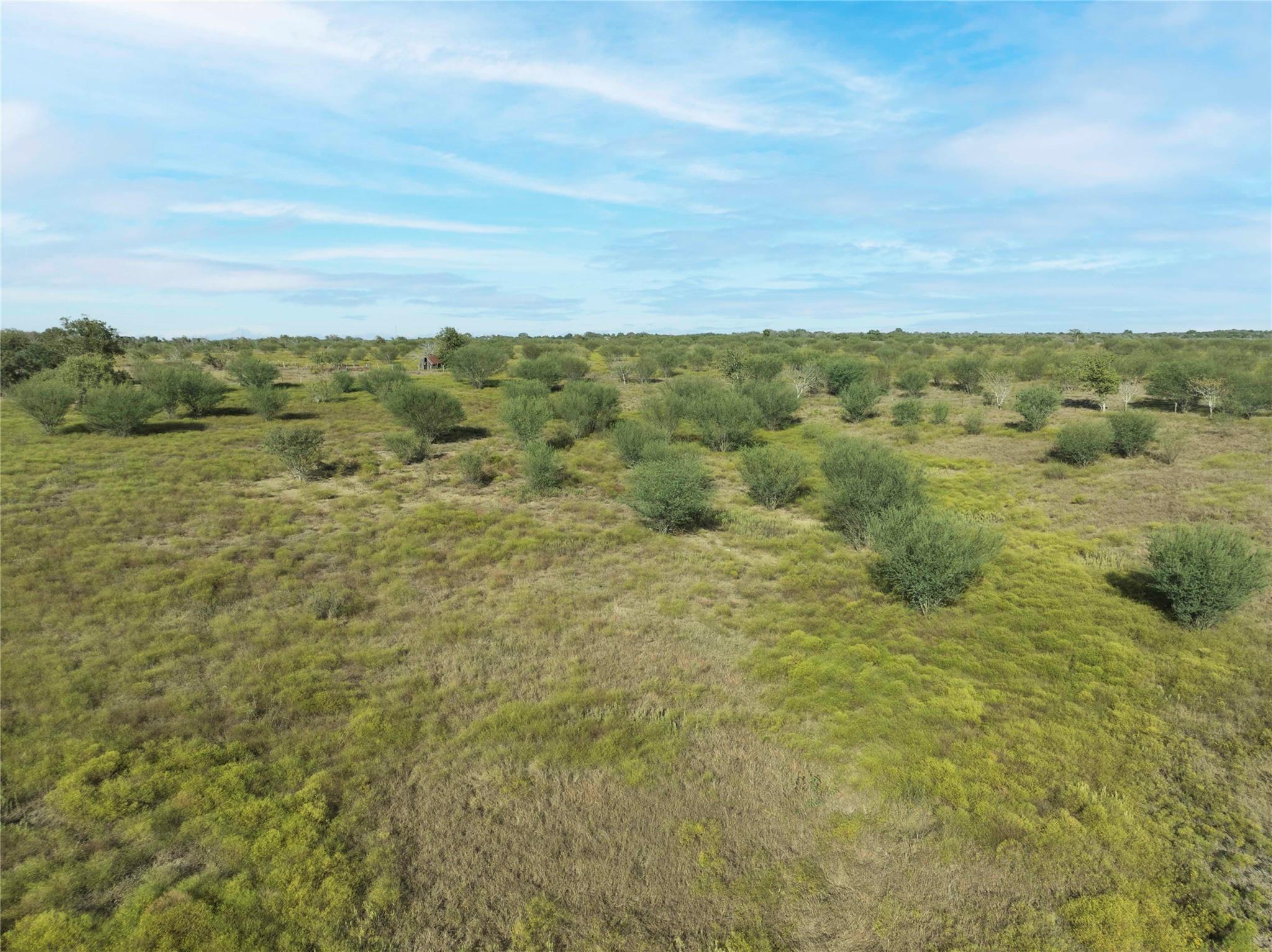 TBD Guettermann-Ehler Rd, Flatonia, TX 78941