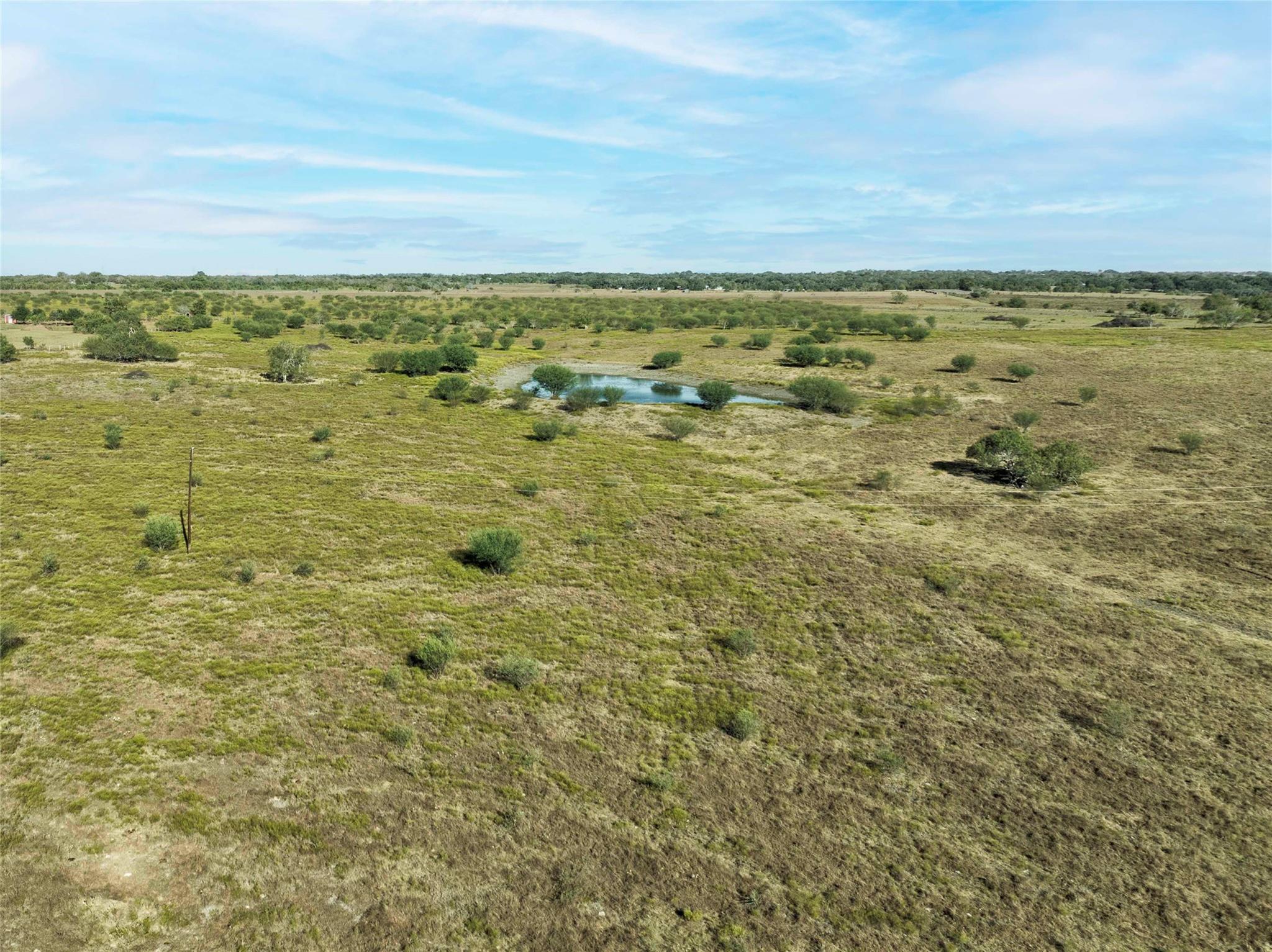 TBD Guettermann-Ehler Rd, Flatonia, TX 78941