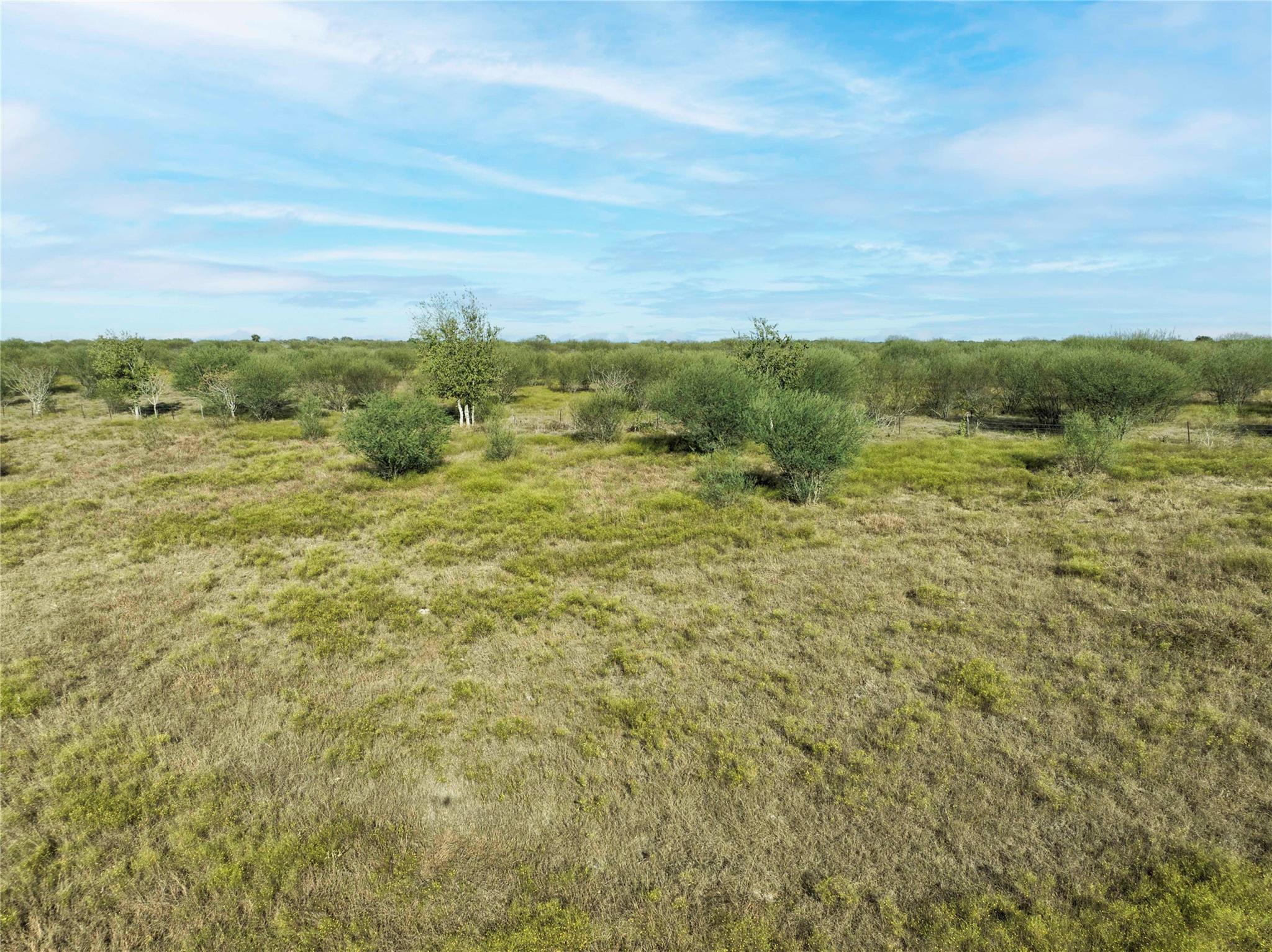 TBD Guettermann-Ehler Rd, Flatonia, TX 78941