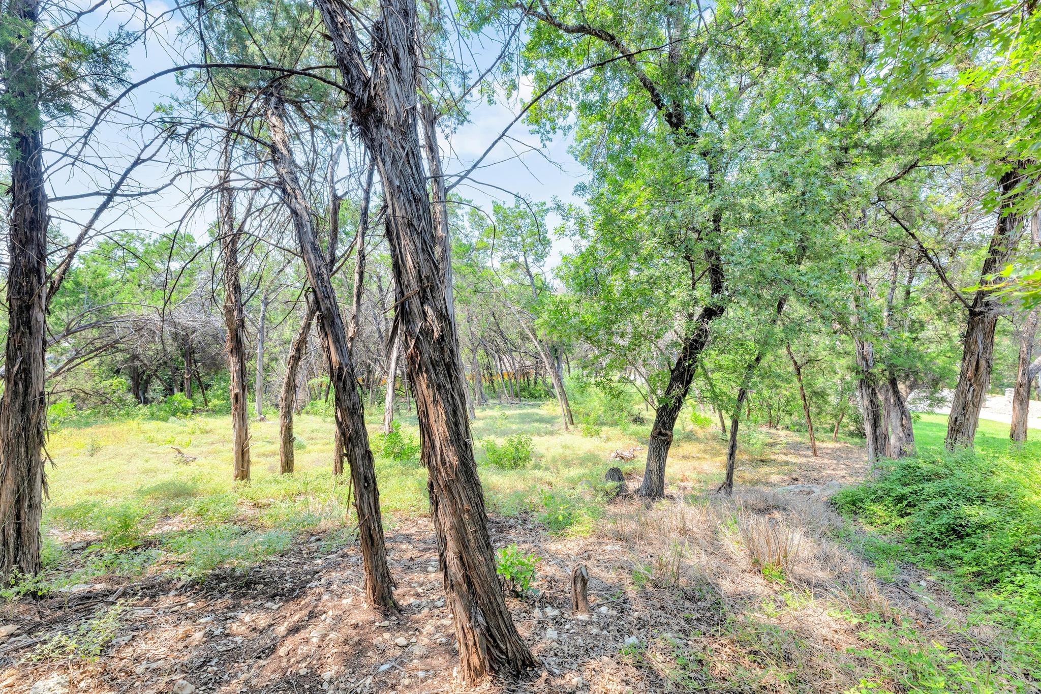 106 Tamarac Ct, Lakeway, TX 78734