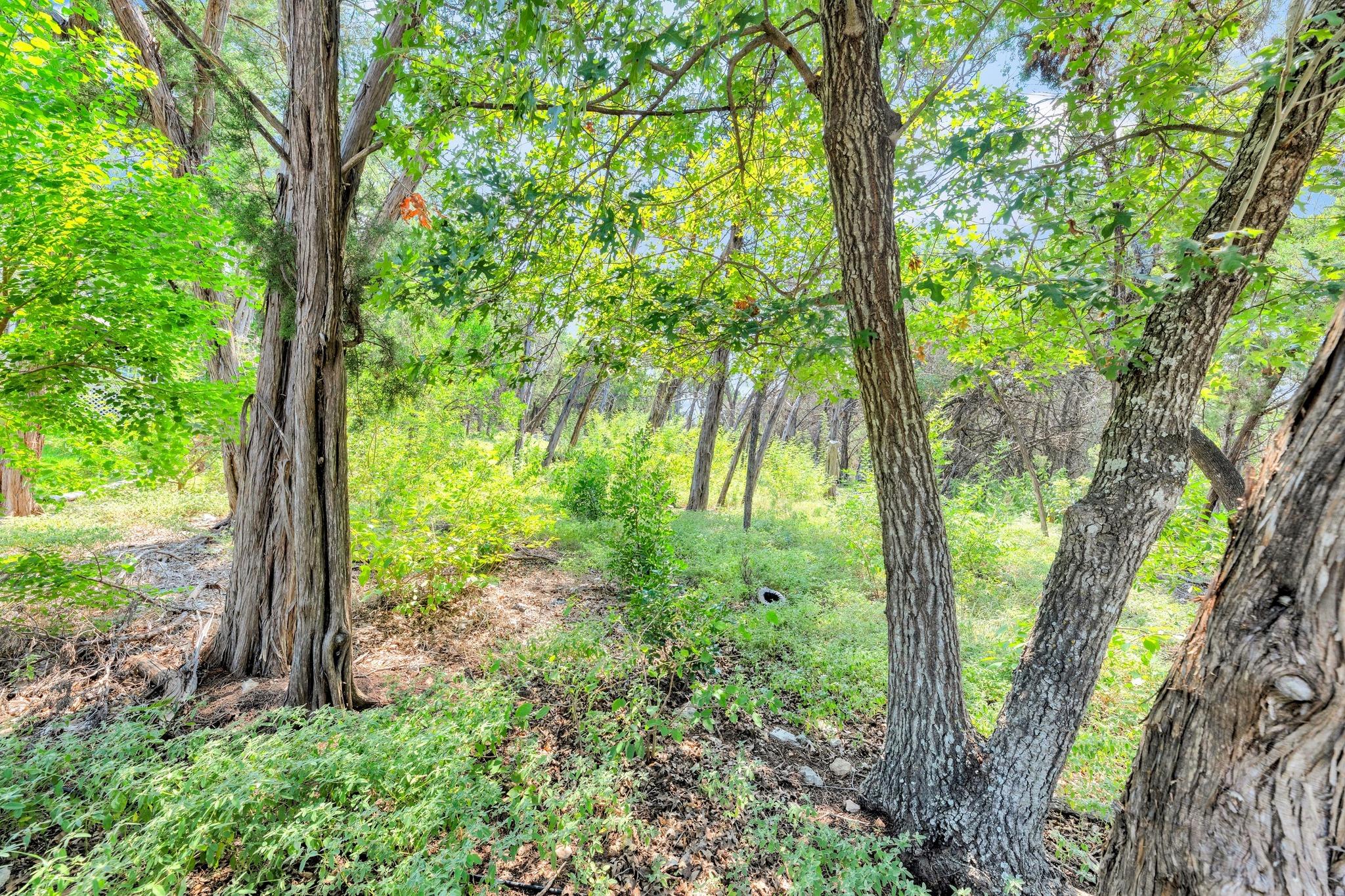 106 Tamarac Ct, Lakeway, TX 78734