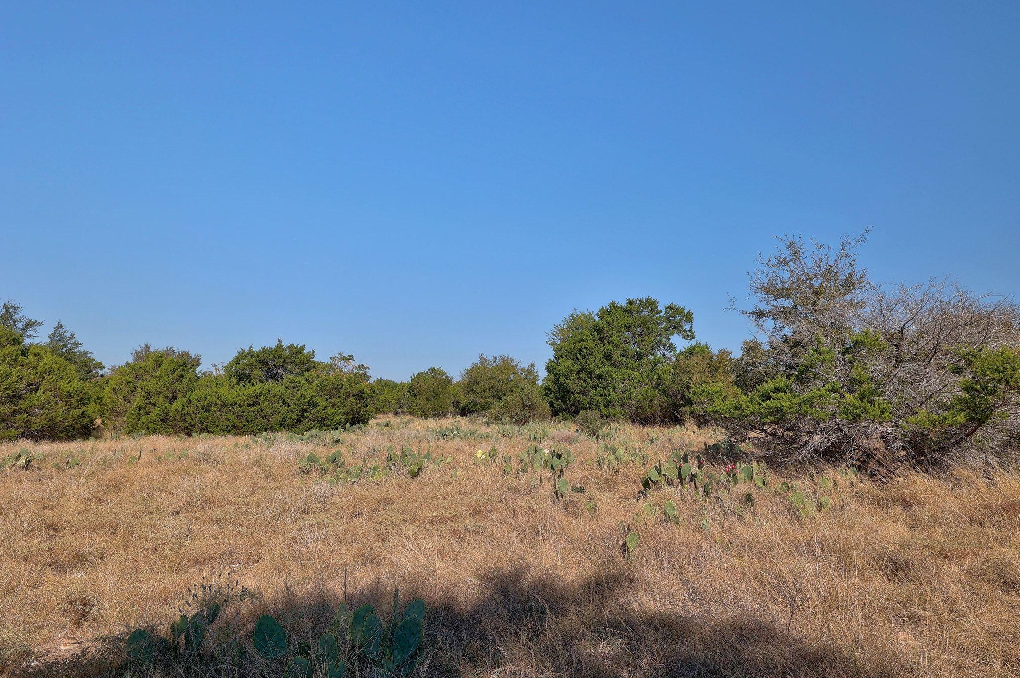 123 Appaloosa Cv, Jarrell, TX 76537