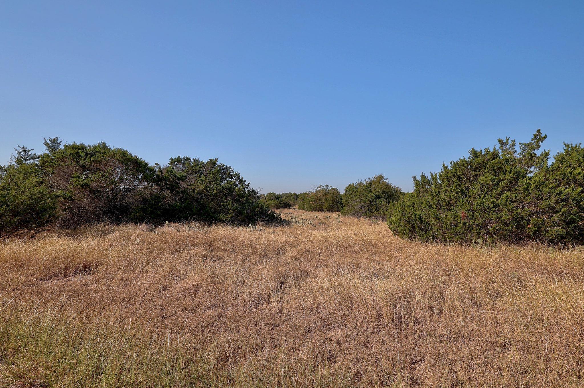 123 Appaloosa Cv, Jarrell, TX 76537