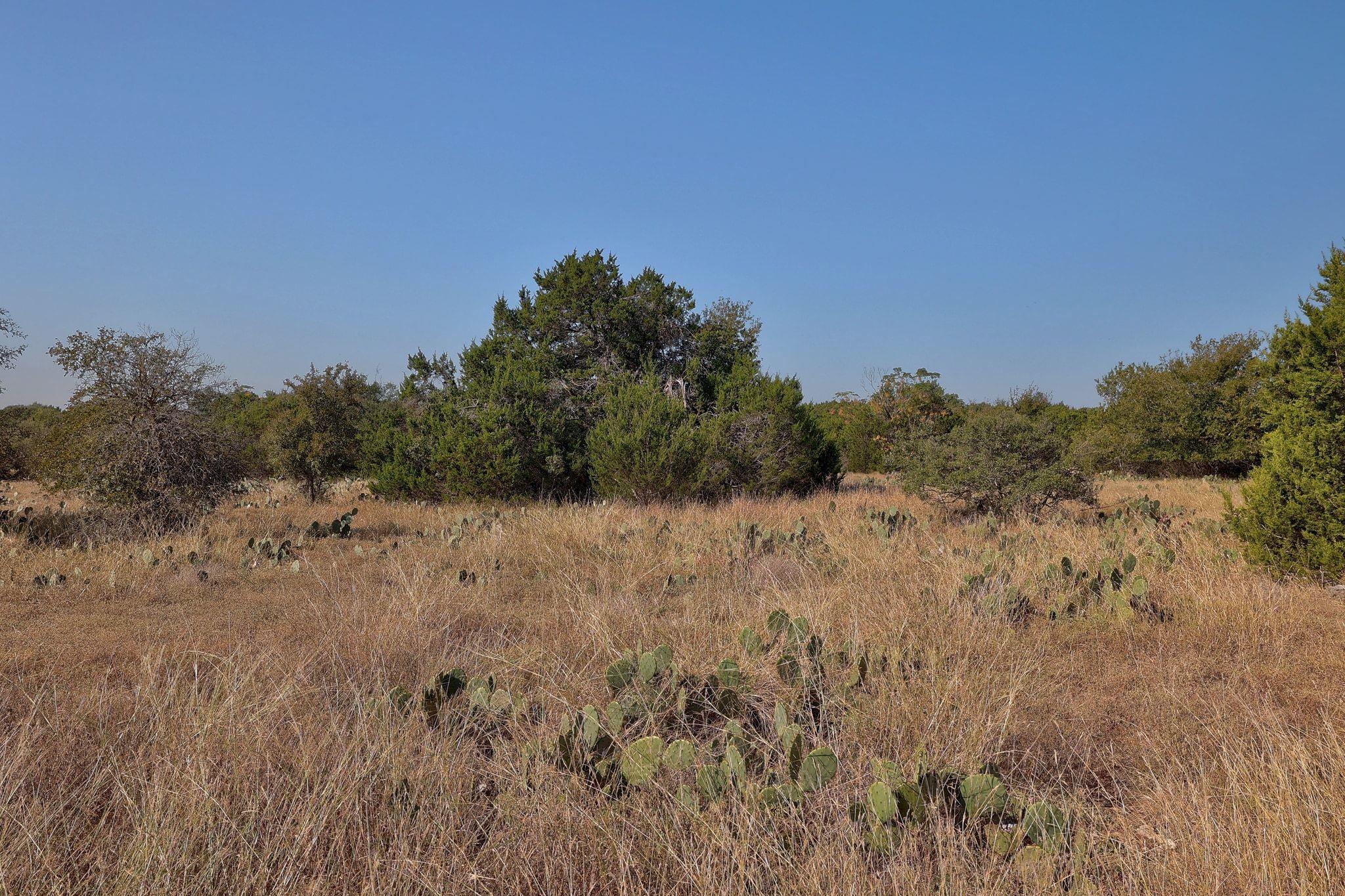 123 Appaloosa Cv, Jarrell, TX 76537