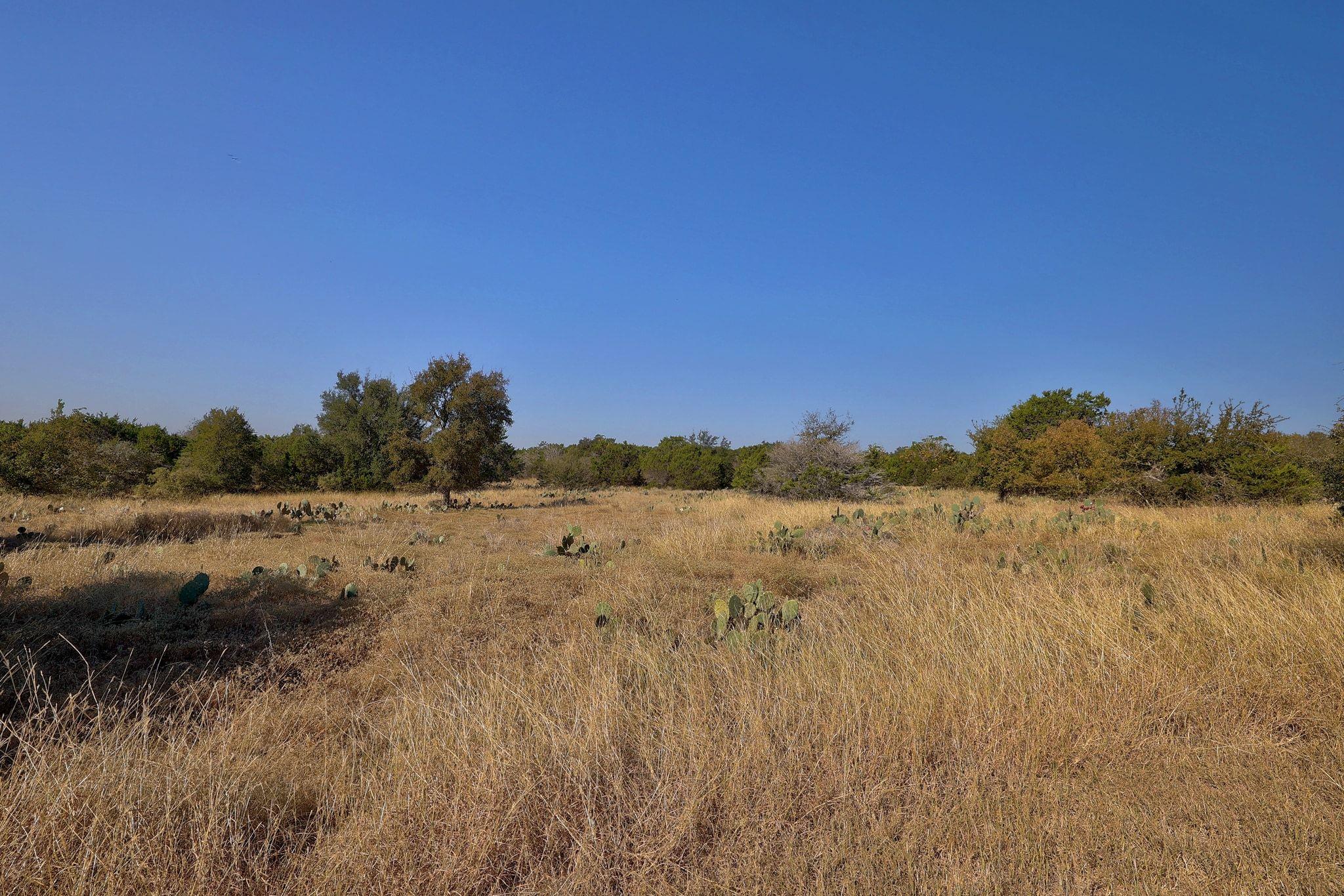 123 Appaloosa Cv, Jarrell, TX 76537