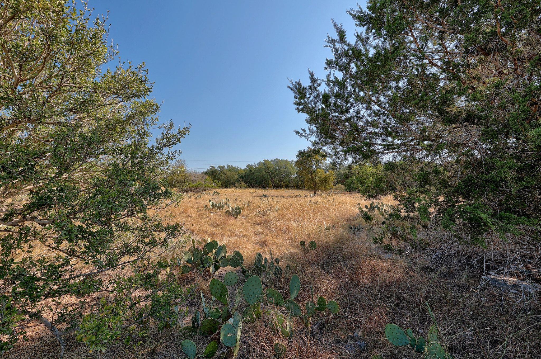 123 Appaloosa Cv, Jarrell, TX 76537