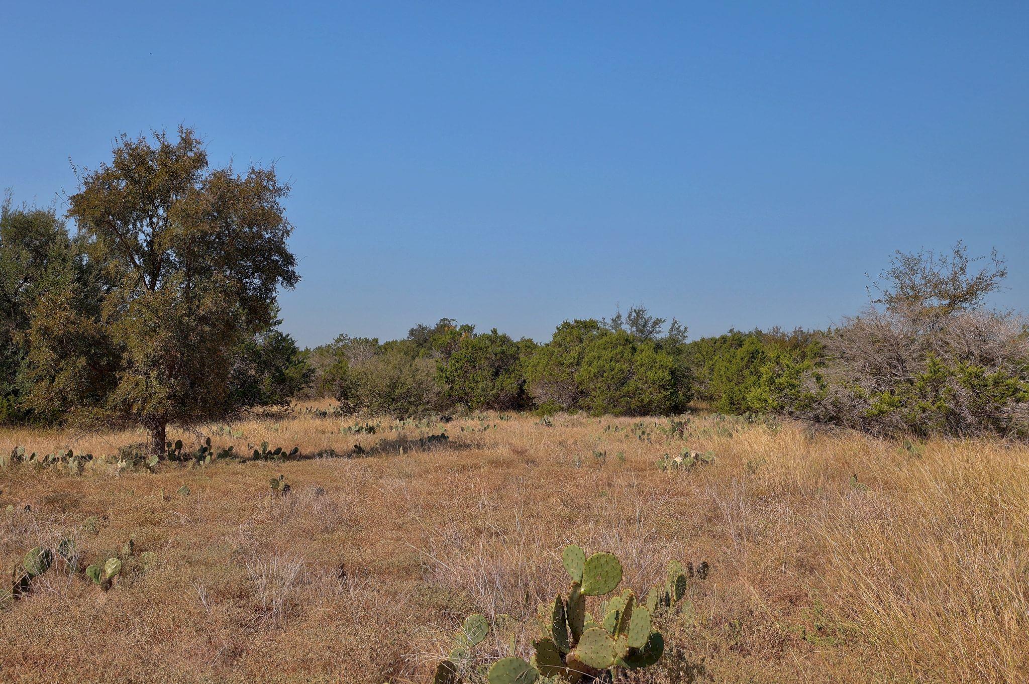 123 Appaloosa Cv, Jarrell, TX 76537