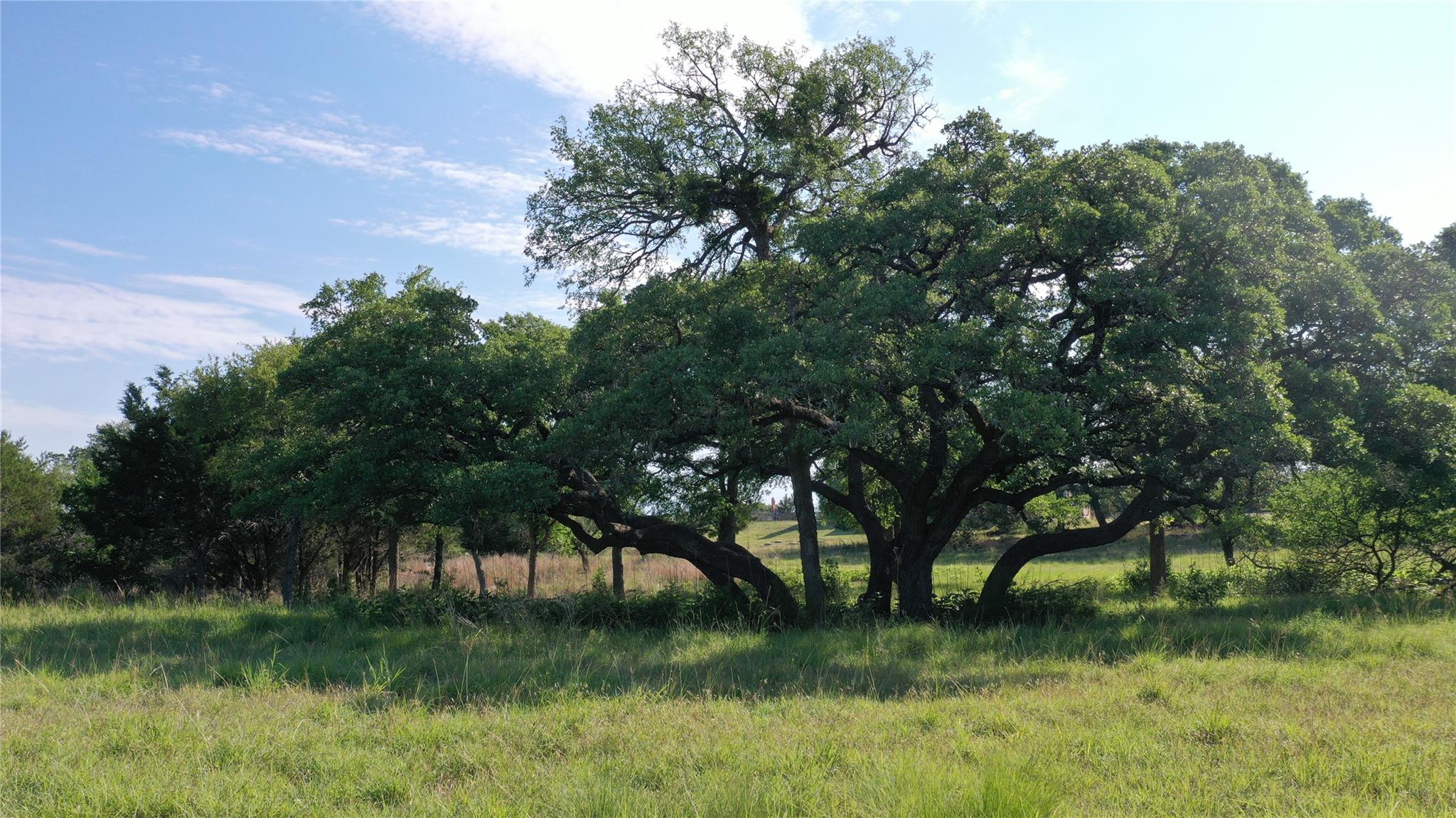 612 Crestwood Dr, Killeen, TX 76549