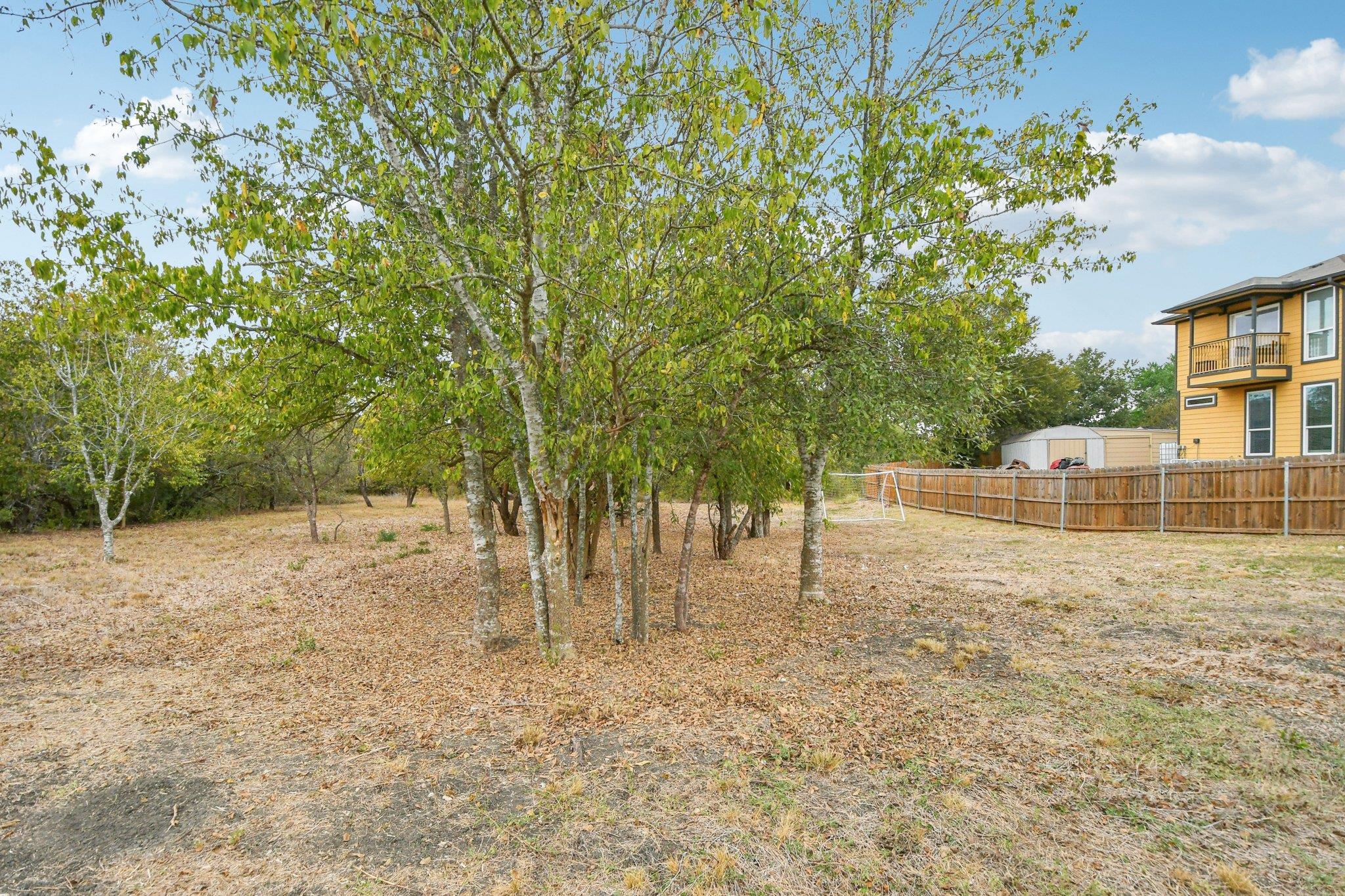 18205 Great Falls Dr, Manor, TX 78653