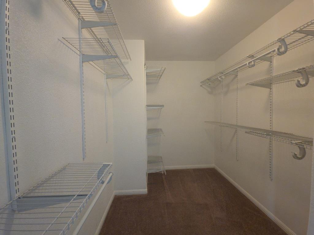 313 San Antonio Riverwalk, Hutto, TX 78634