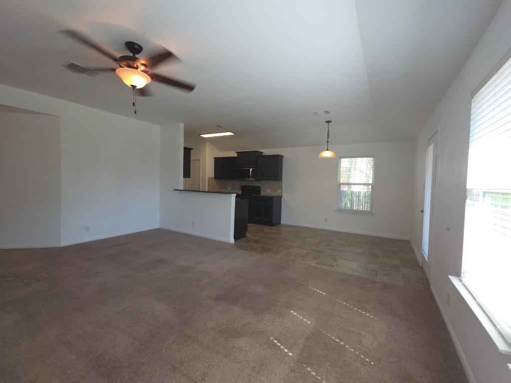 313 San Antonio Riverwalk, Hutto, TX 78634