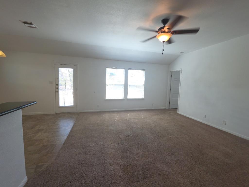 313 San Antonio Riverwalk, Hutto, TX 78634