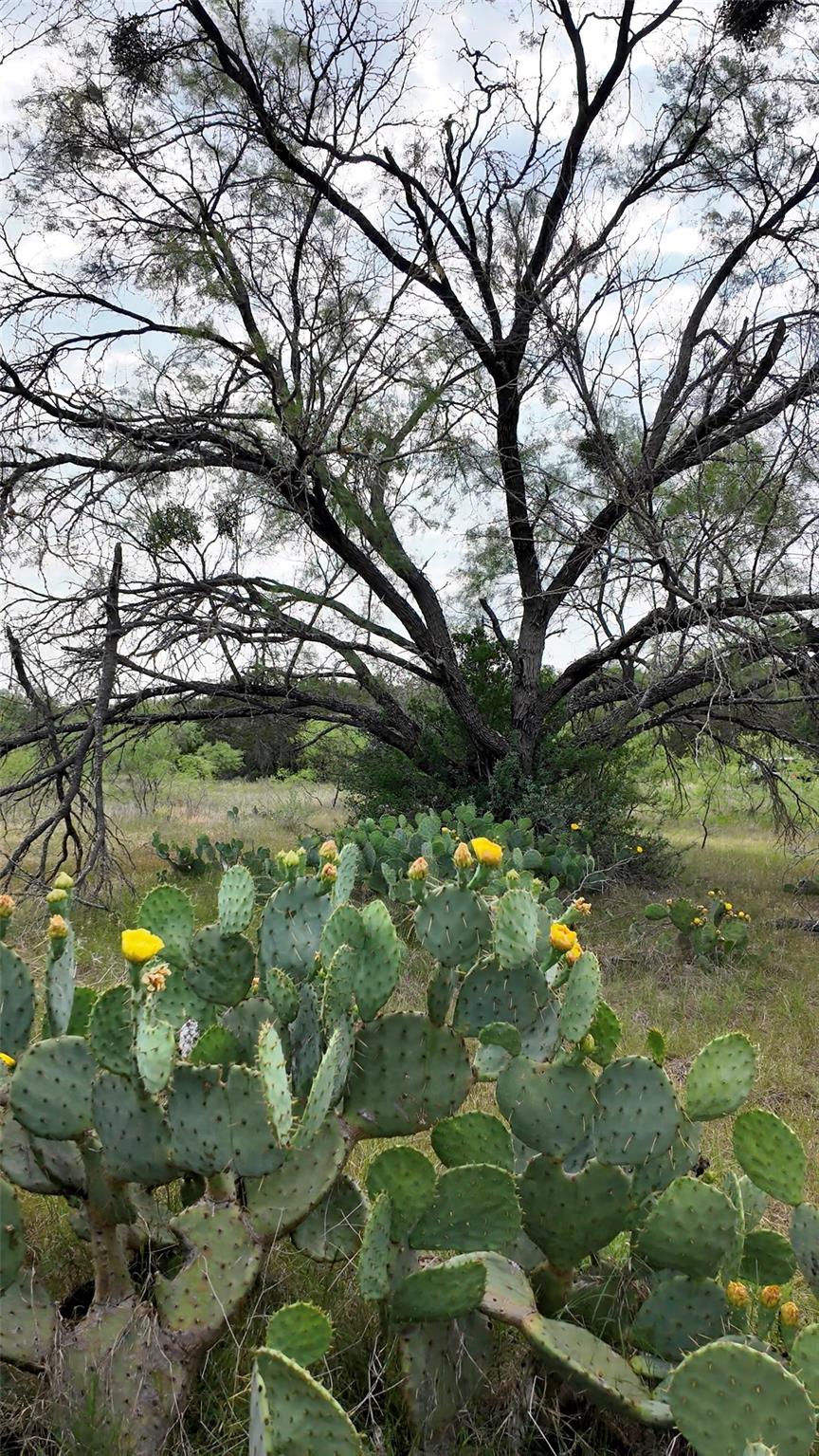 0 Old Ferry Rd, Spicewood, TX 78669