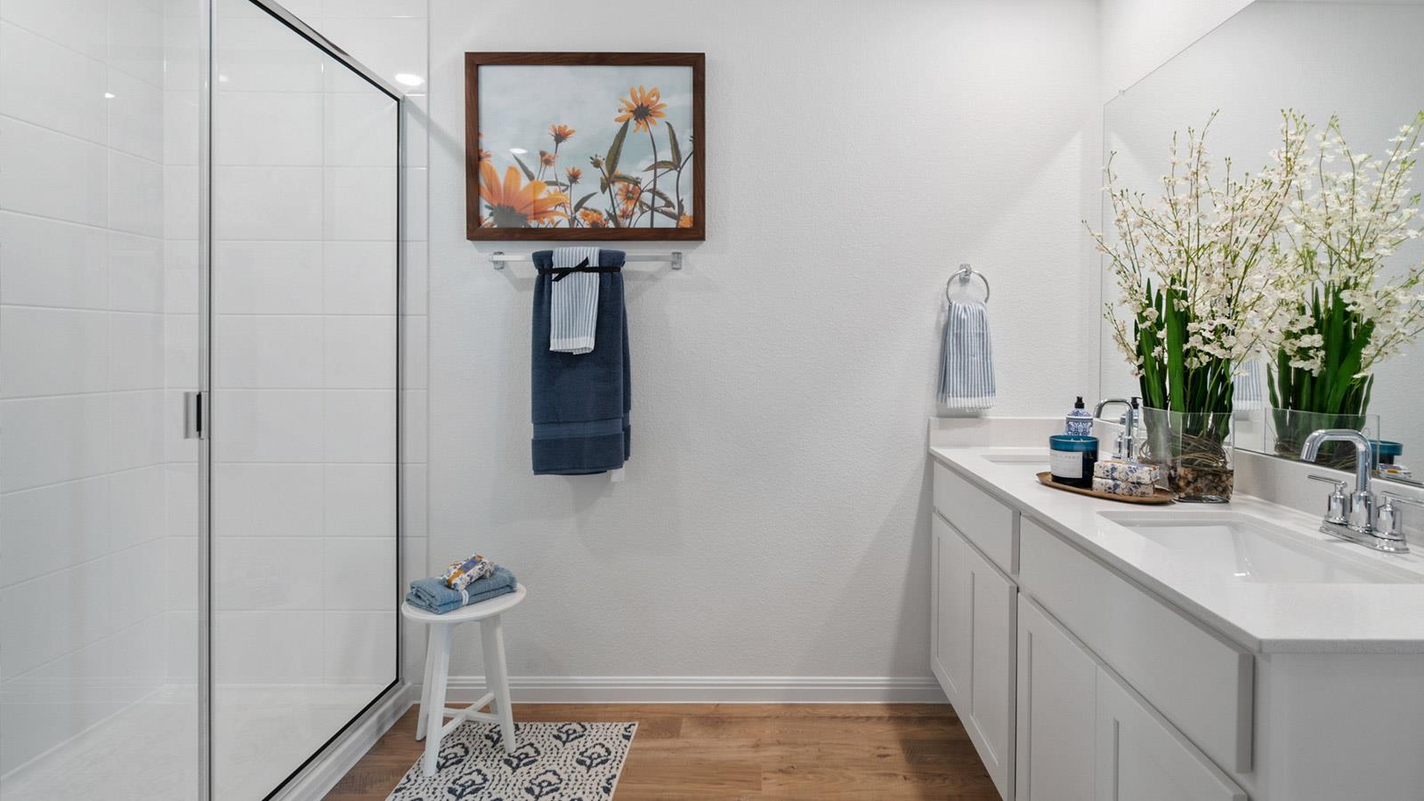 15000 Monarch Ranch Dr, Manor, TX 78653