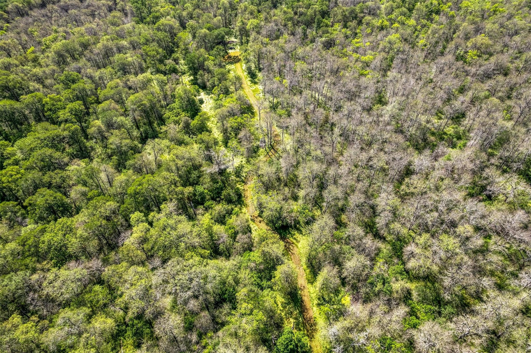 201 Fawn Ridge Rd, Cedar Creek, TX 78612