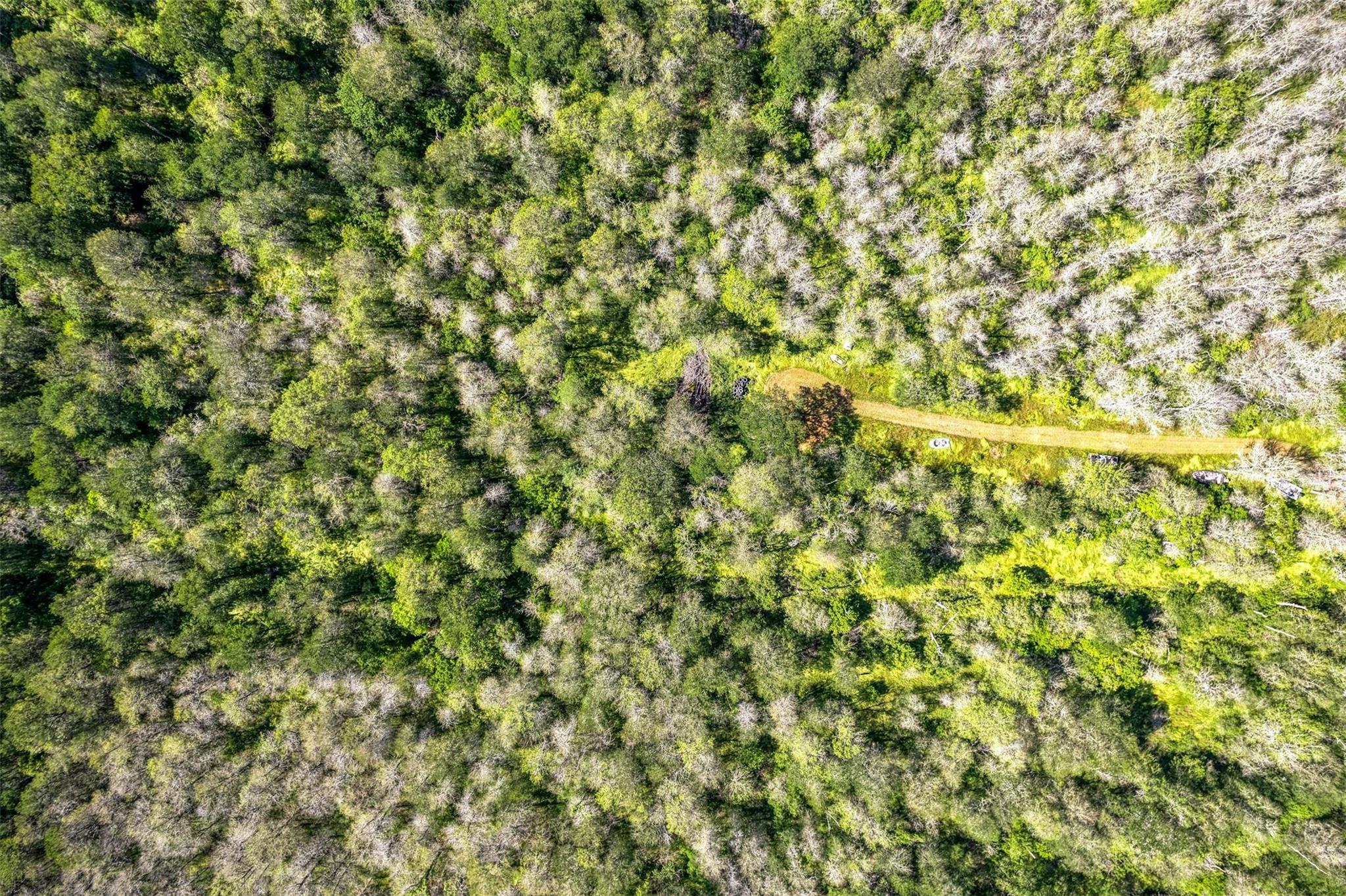 201 Fawn Ridge Rd, Cedar Creek, TX 78612