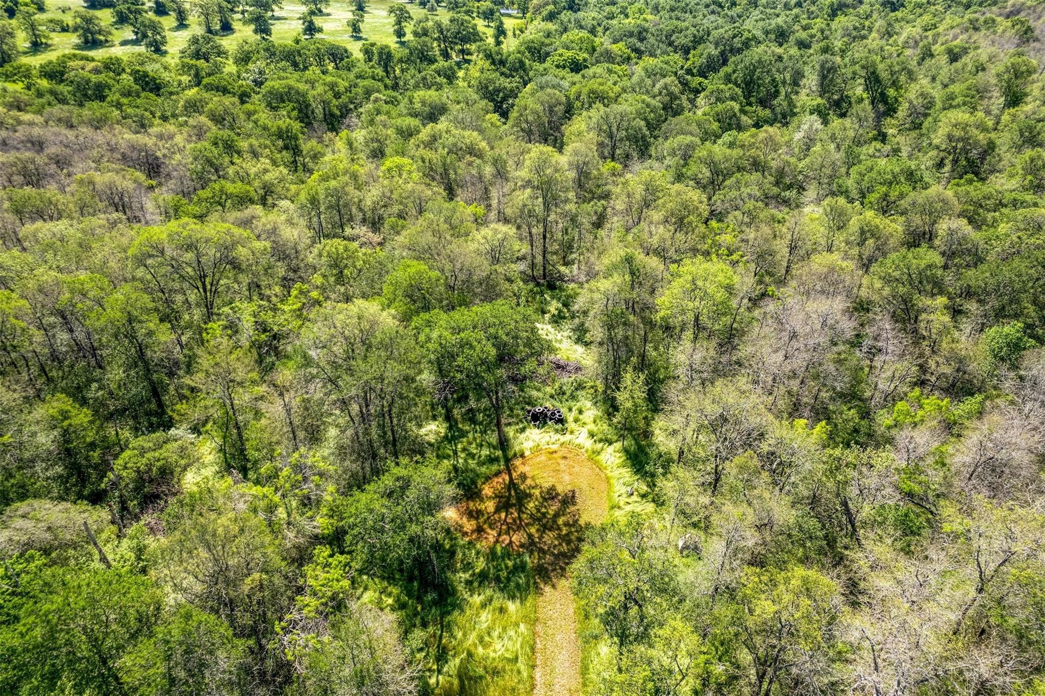 201 Fawn Ridge Rd, Cedar Creek, TX 78612