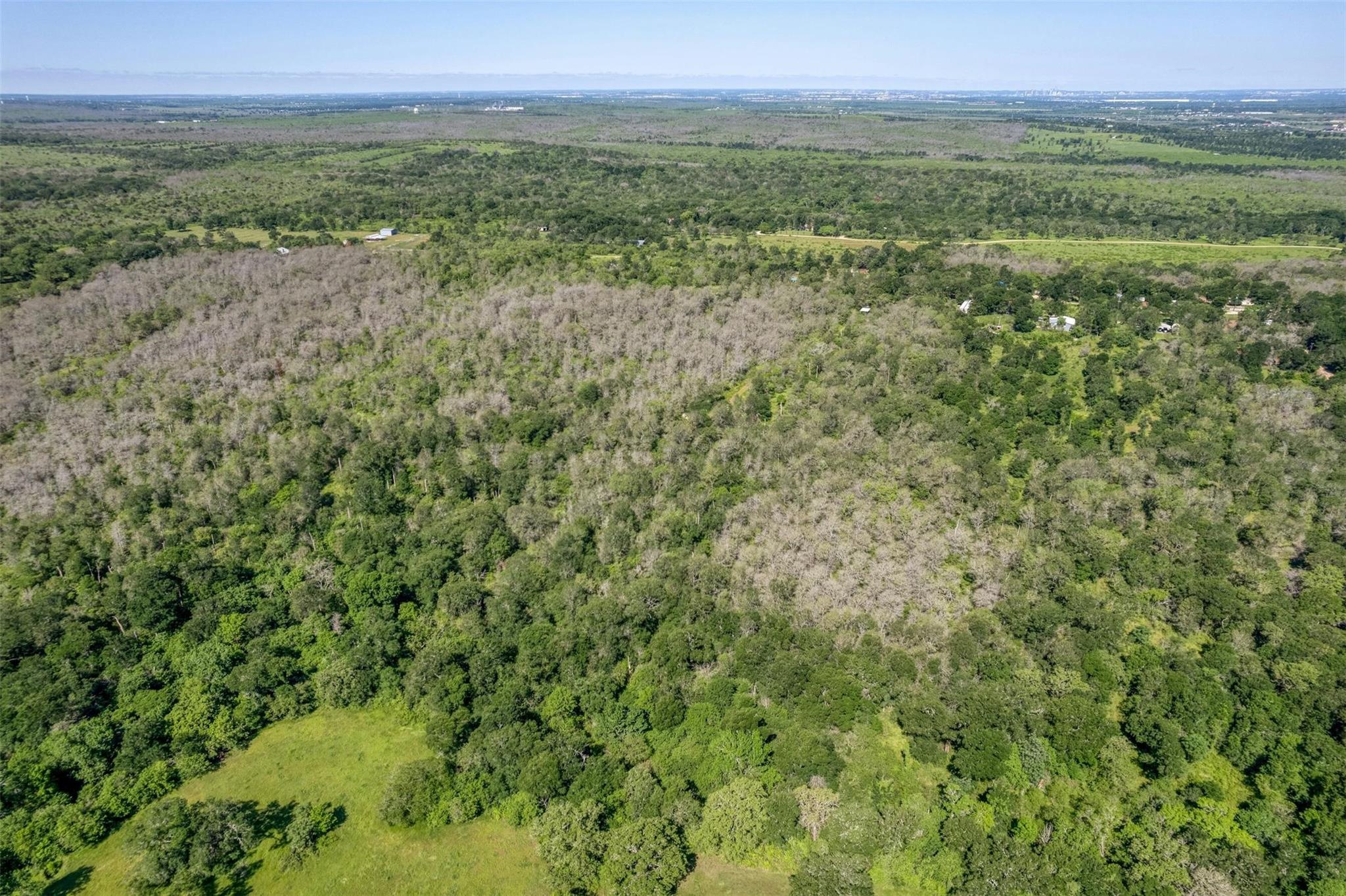 201 Fawn Ridge Rd, Cedar Creek, TX 78612