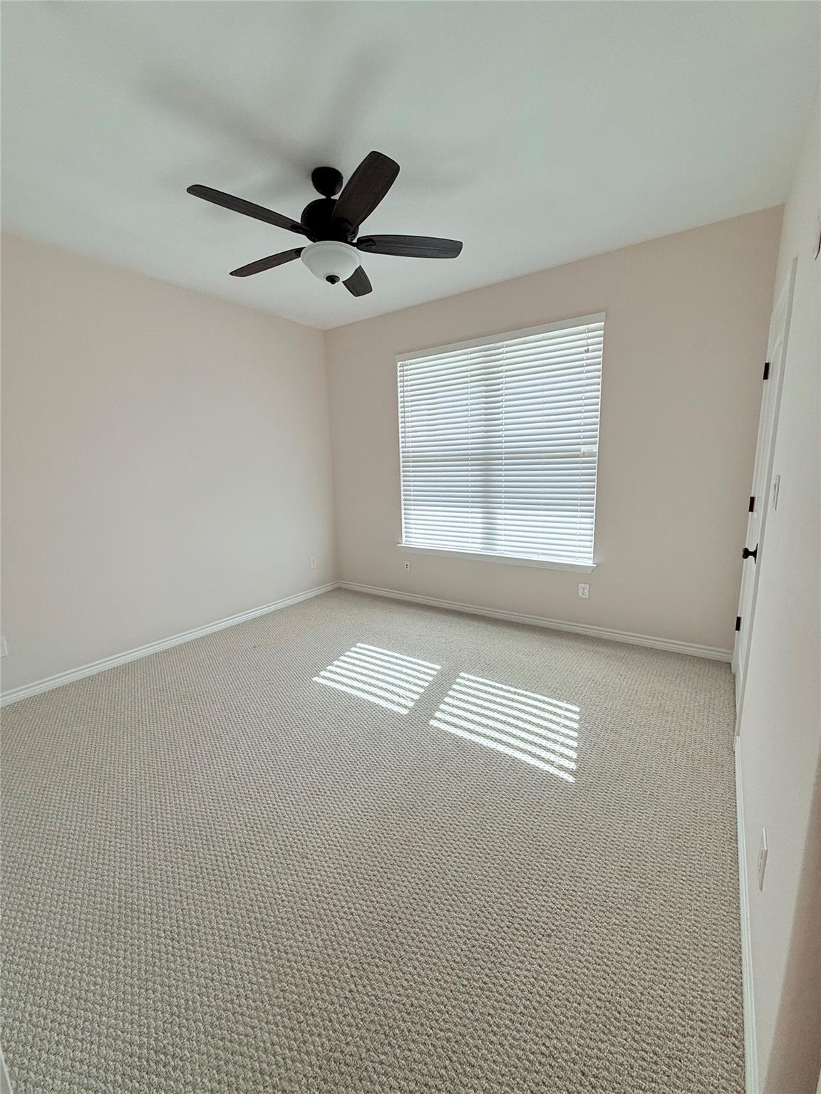 300 Western Sky Trl, Jarrell, TX 76537