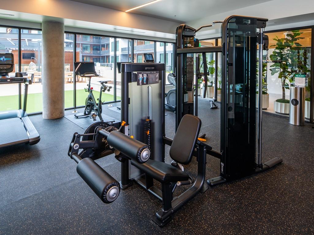 2209 S 1st. St # 408, Austin, TX 78704