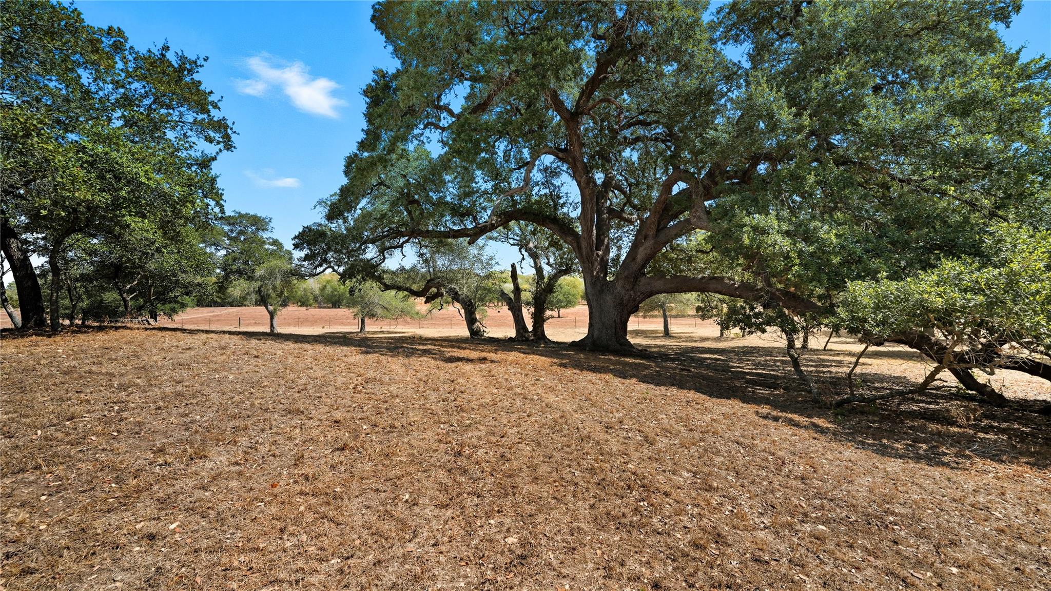 2656 River Bend Rd, Smithville, TX 78957