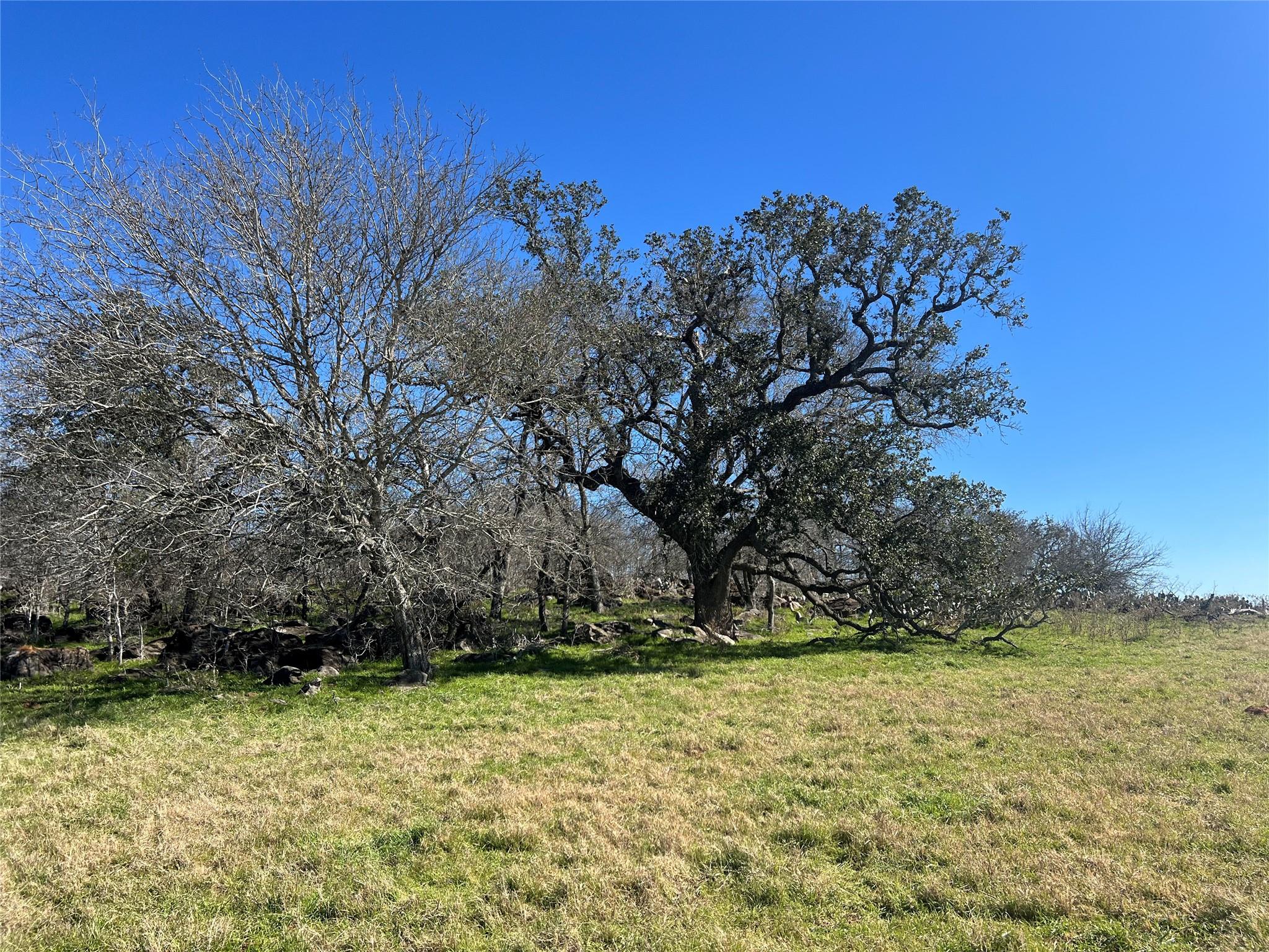 5912 Tenney Creek Rd, Luling, TX 78648