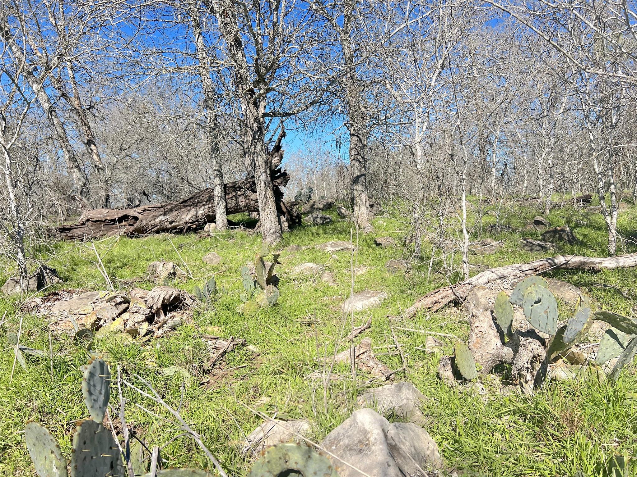 5912 Tenney Creek Rd, Luling, TX 78648