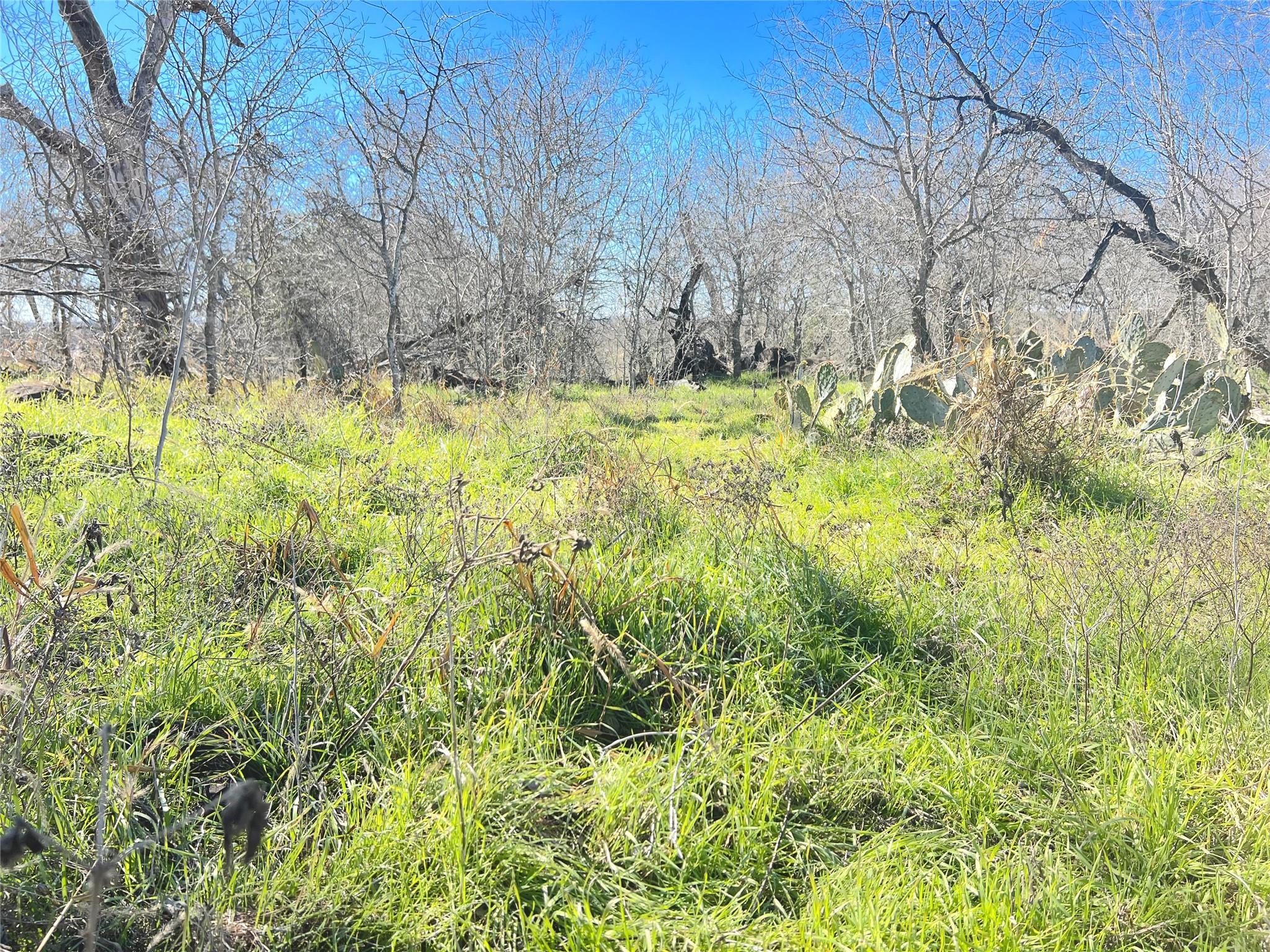 5912 Tenney Creek Rd, Luling, TX 78648