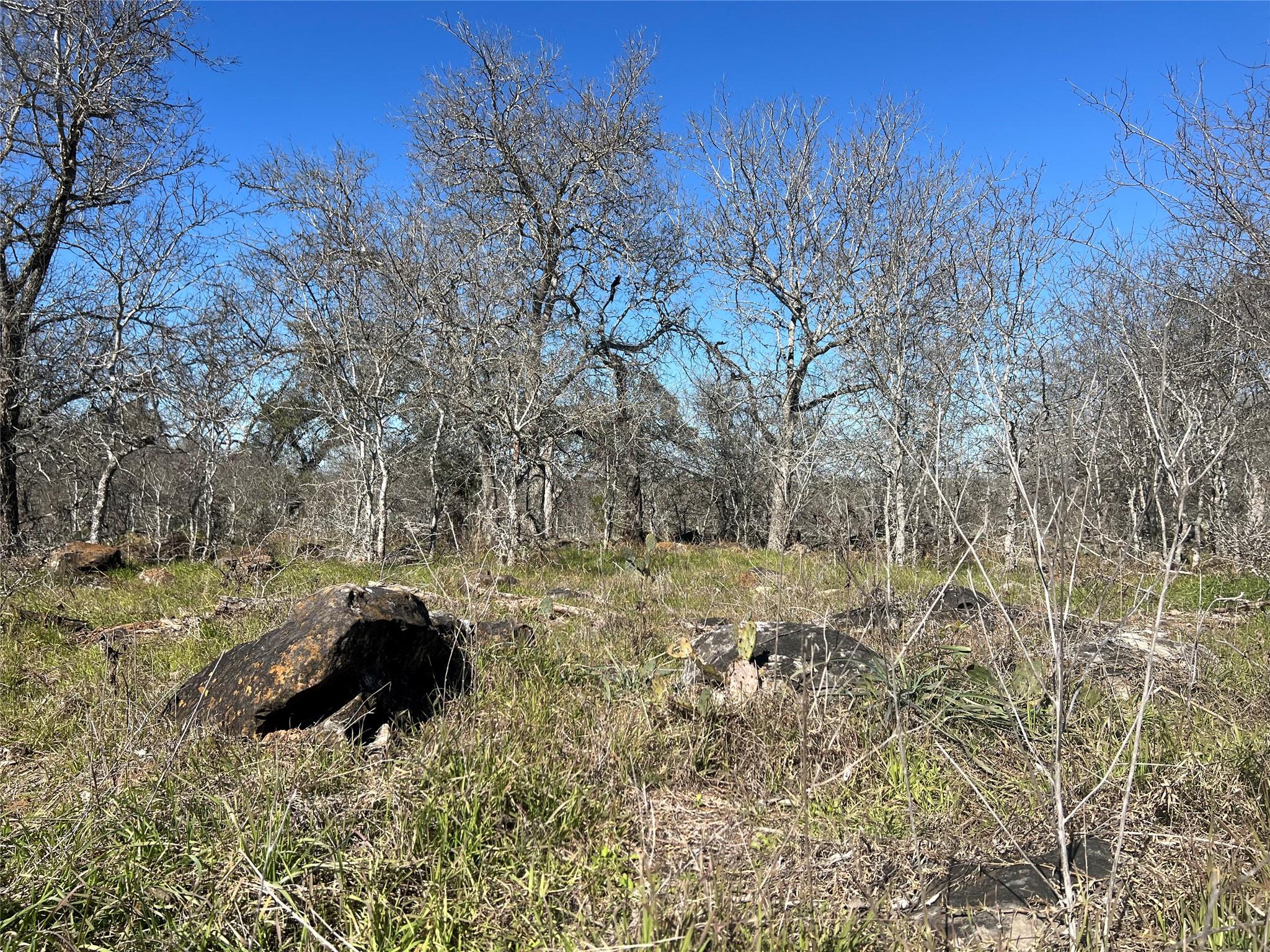 5912 Tenney Creek Rd, Luling, TX 78648