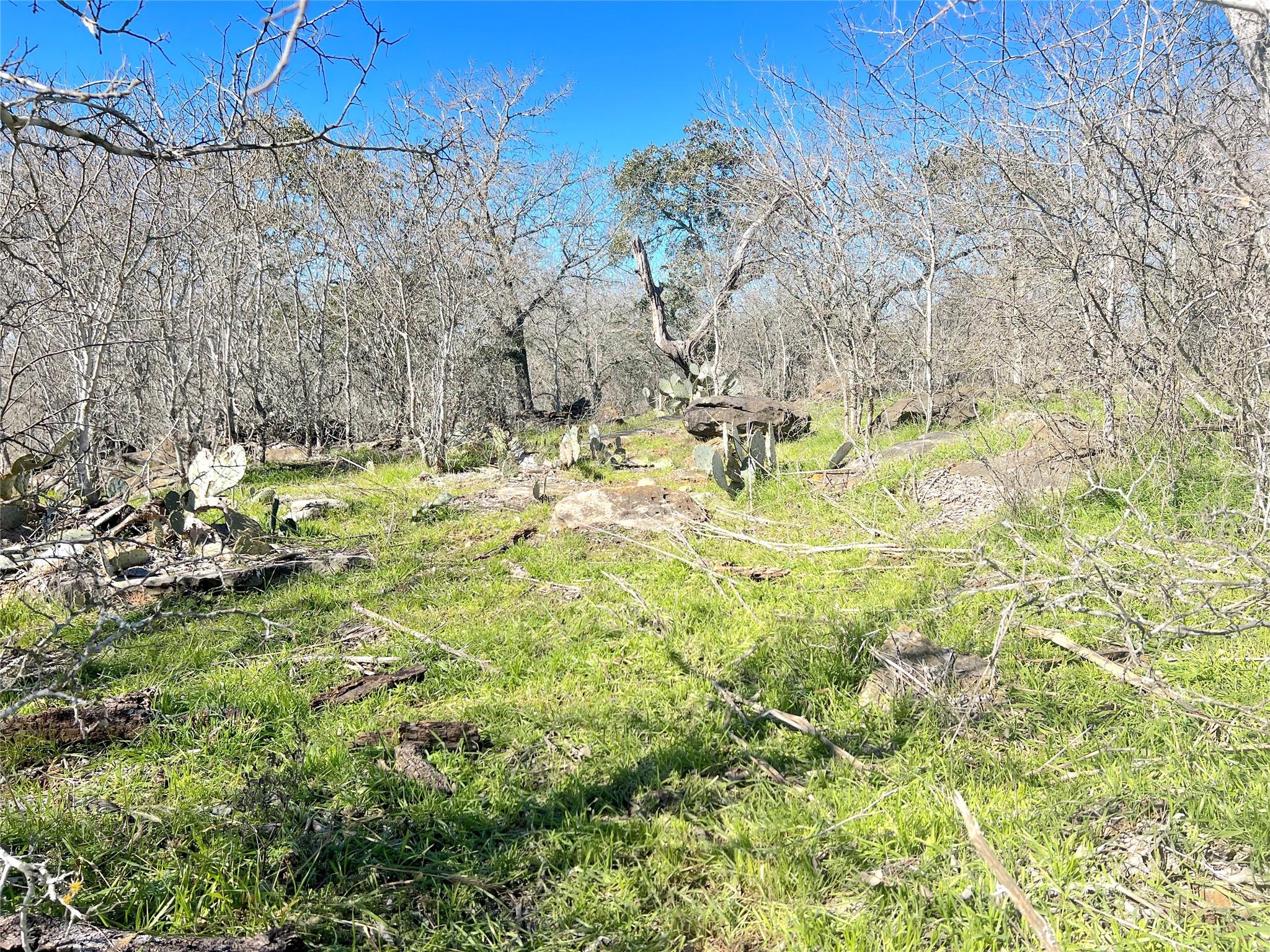 5912 Tenney Creek Rd, Luling, TX 78648