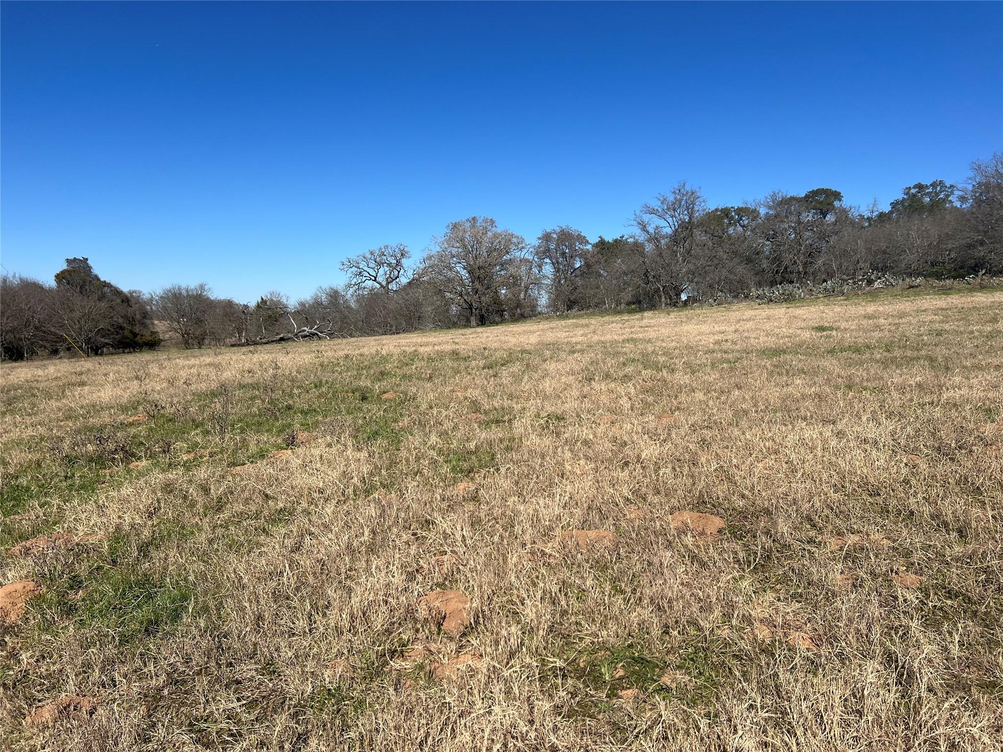 5912 Tenney Creek Rd, Luling, TX 78648