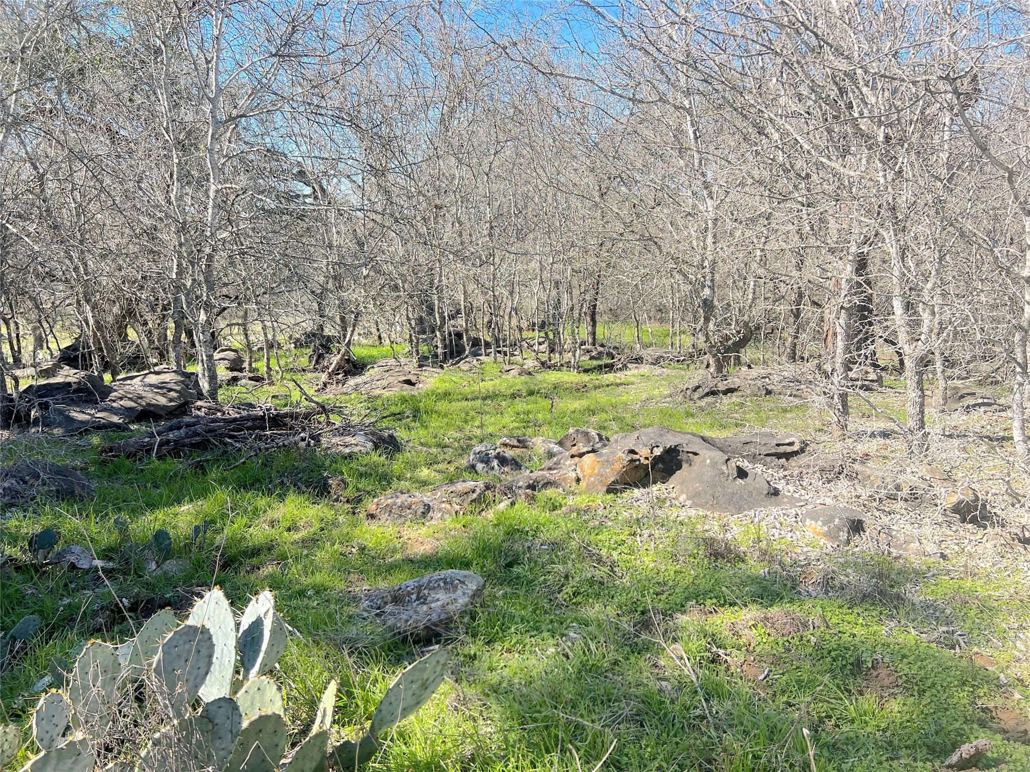 5912 Tenney Creek Rd, Luling, TX 78648