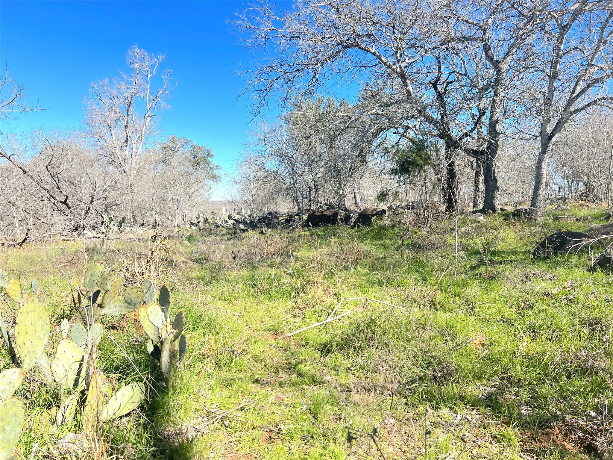 5912 Tenney Creek Rd, Luling, TX 78648