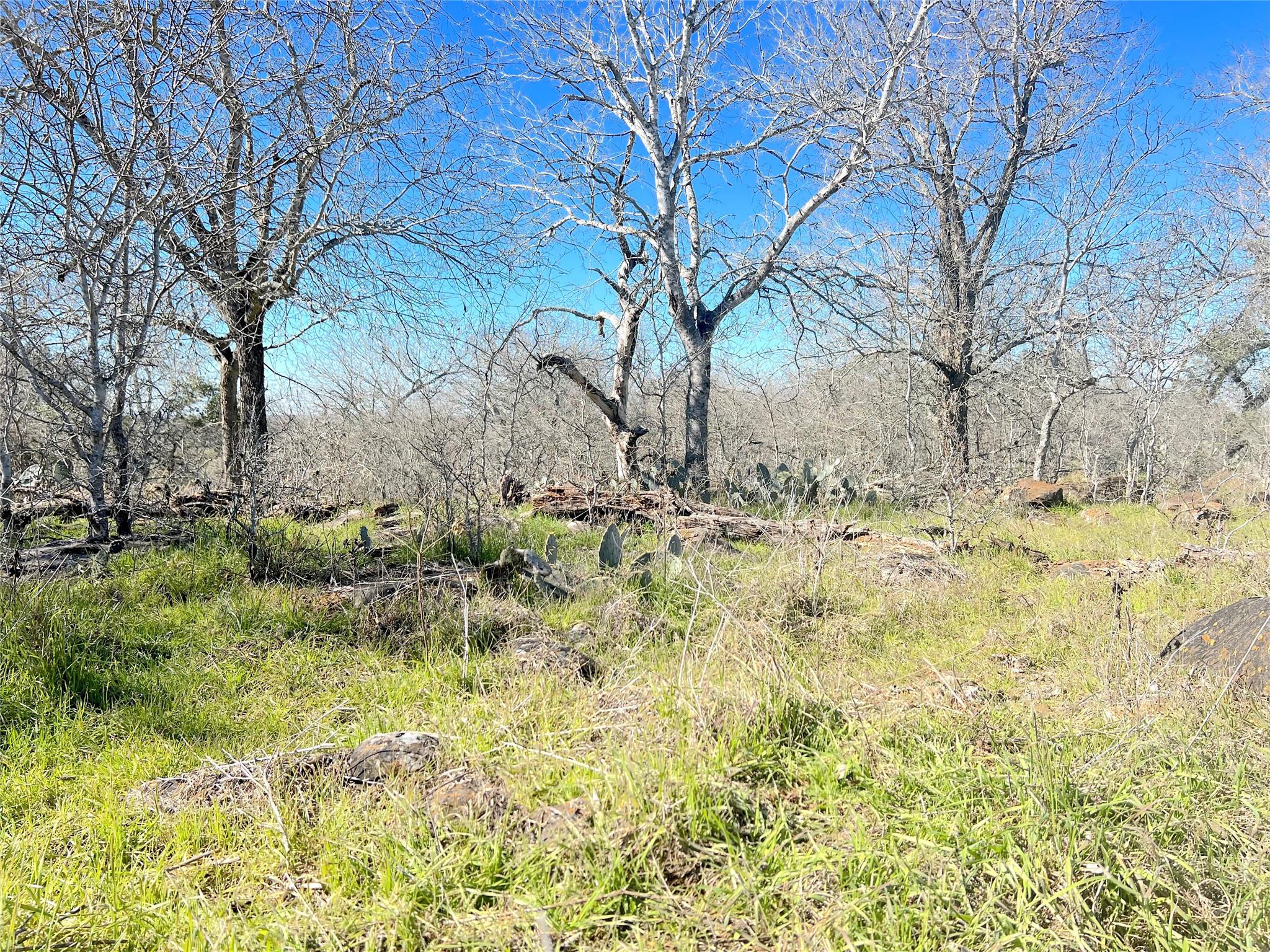 5912 Tenney Creek Rd, Luling, TX 78648